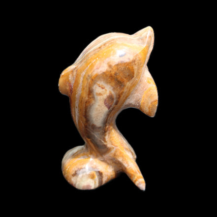 Afghan Jade Leaping Dolphin hand-carved 85*51*35mm 171g in sunlight - Rocks and Things Store