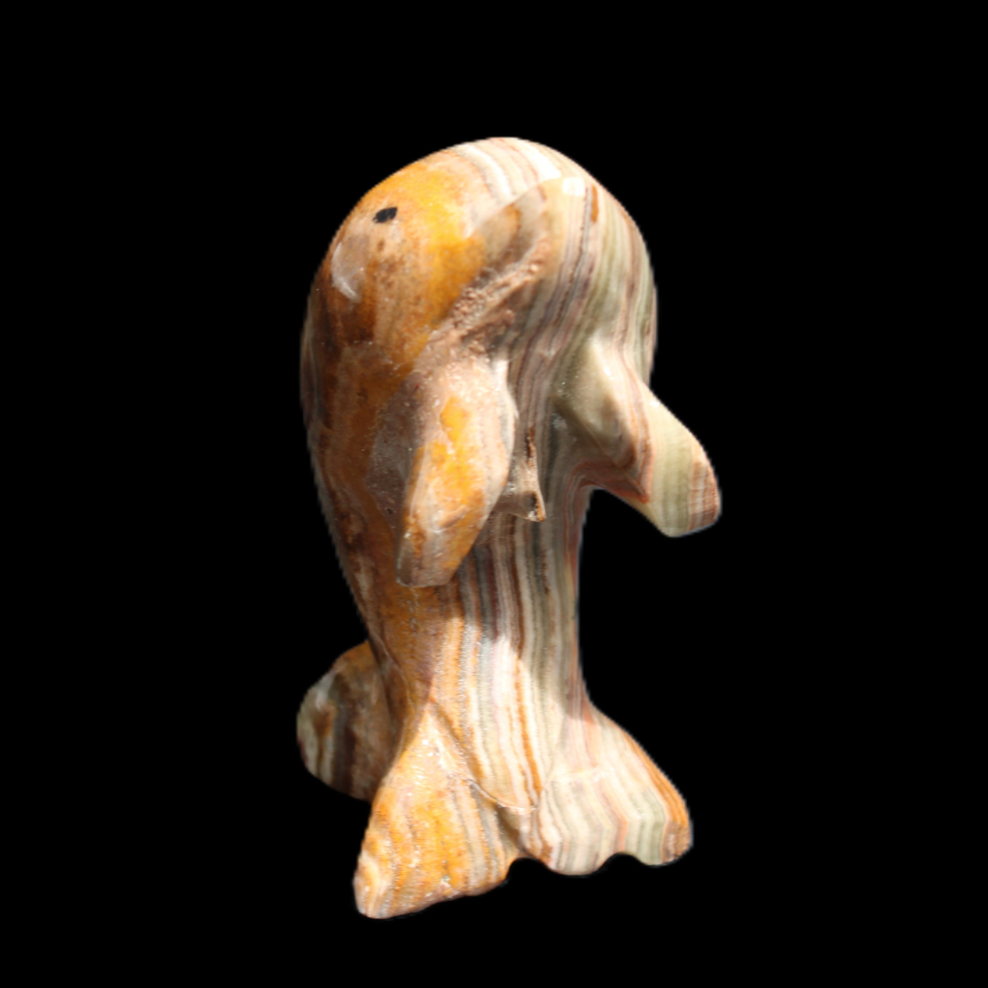 Afghan Jade Leaping Dolphin hand-carved 85*51*35mm 171g in sunlight - Rocks and Things Store