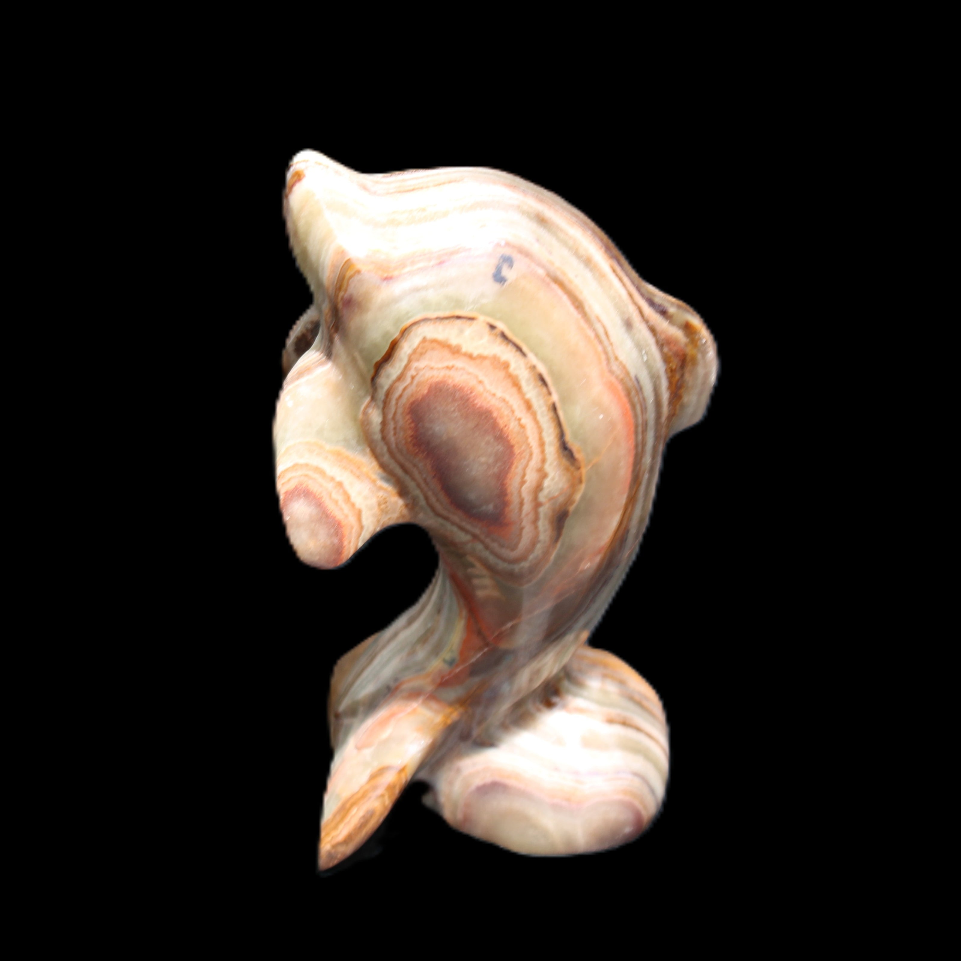 Afghan Jade Leaping Dolphin hand-carved 85*51*35mm 171g in sunlight - Rocks and Things Store