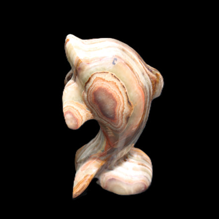 Afghan Jade Leaping Dolphin hand-carved 85*51*35mm 171g in sunlight - Rocks and Things Store