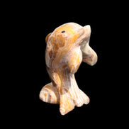 Afghan Jade Leaping Dolphin hand-carved 85*51*35mm 171g in sunlight - Rocks and Things Store