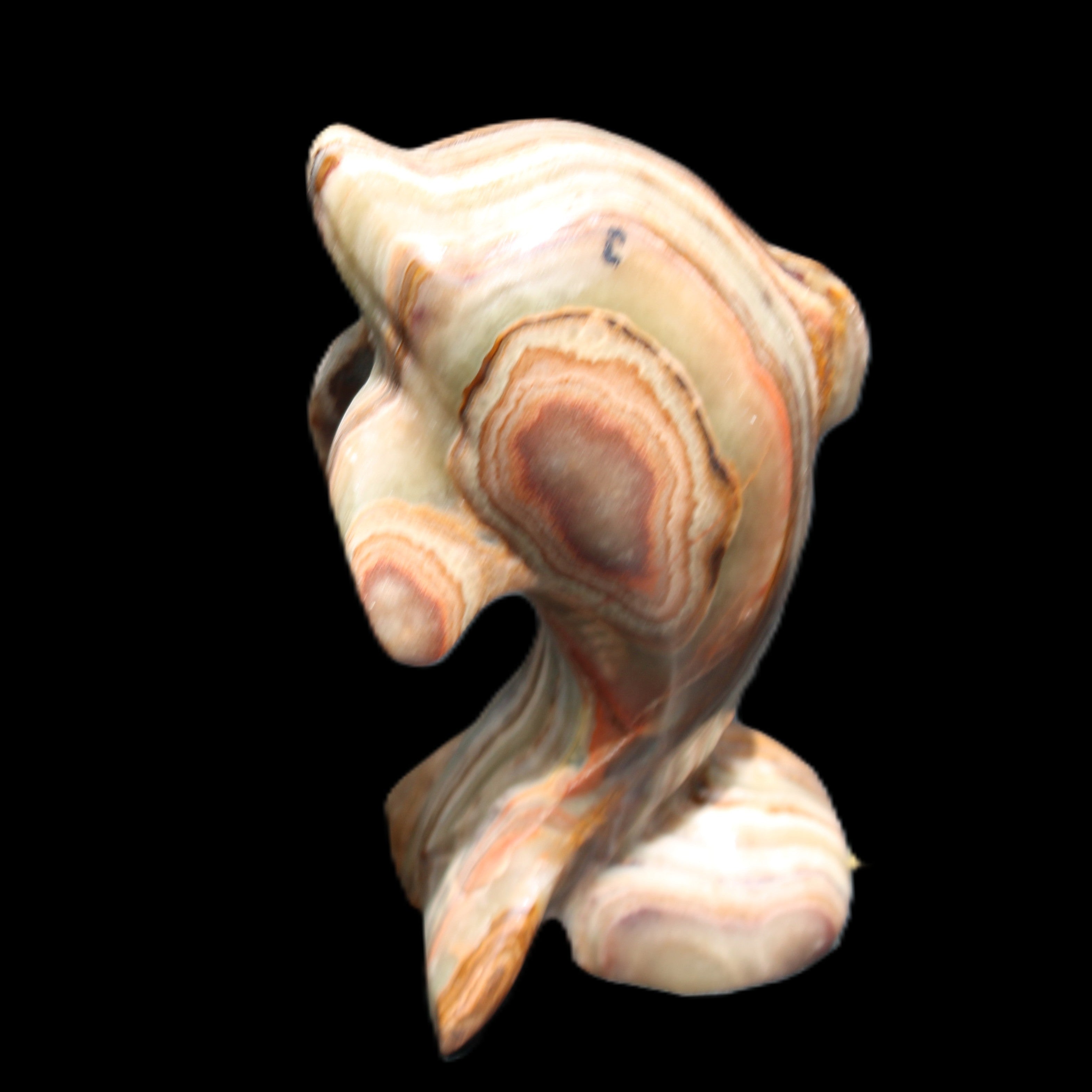 Afghan Jade Leaping Dolphin hand-carved 85*51*35mm 171g in sunlight - Rocks and Things Store