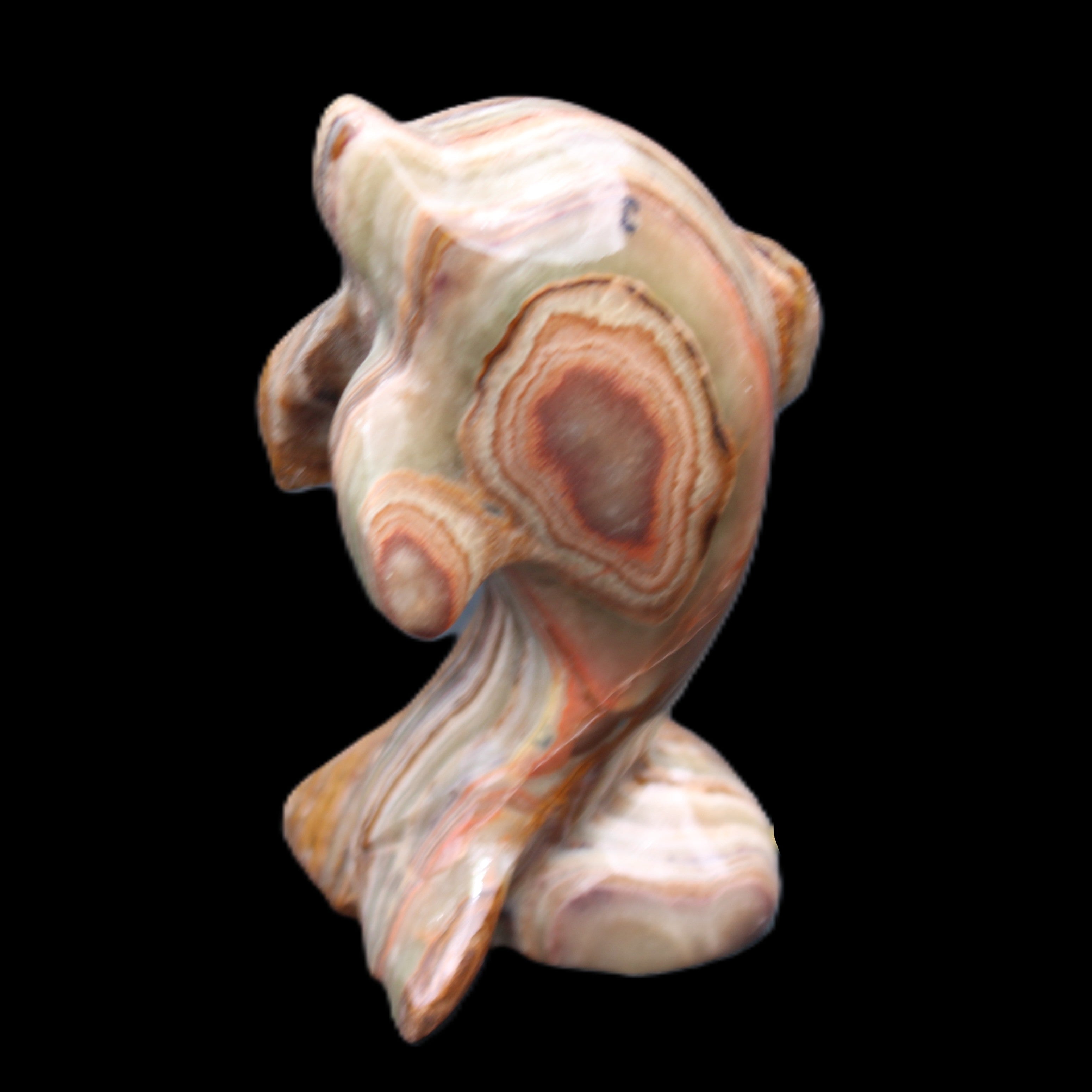 Afghan Jade Leaping Dolphin hand-carved 85*51*35mm 171g in sunlight - Rocks and Things Store