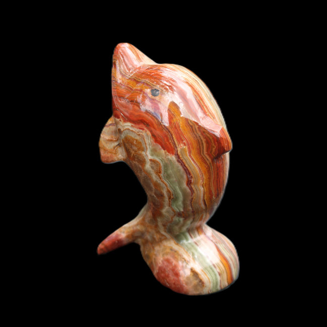 Colouful Afghan Jade Leaping Dolphin hand-carved 83*53*33mm 184g in sunlight - Rocks and Things Store