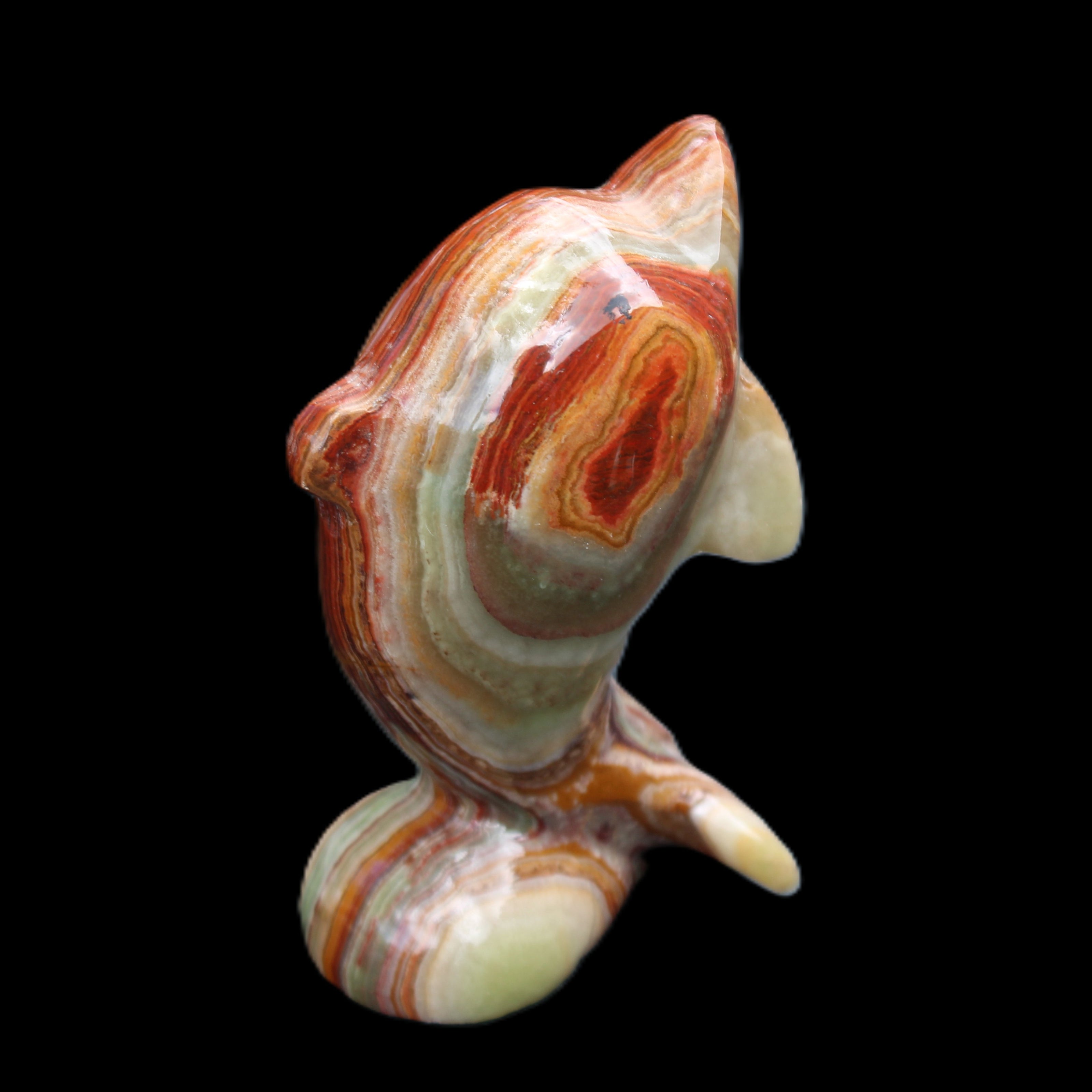 Colouful Afghan Jade Leaping Dolphin hand-carved 83*53*33mm 184g in sunlight - Rocks and Things Store