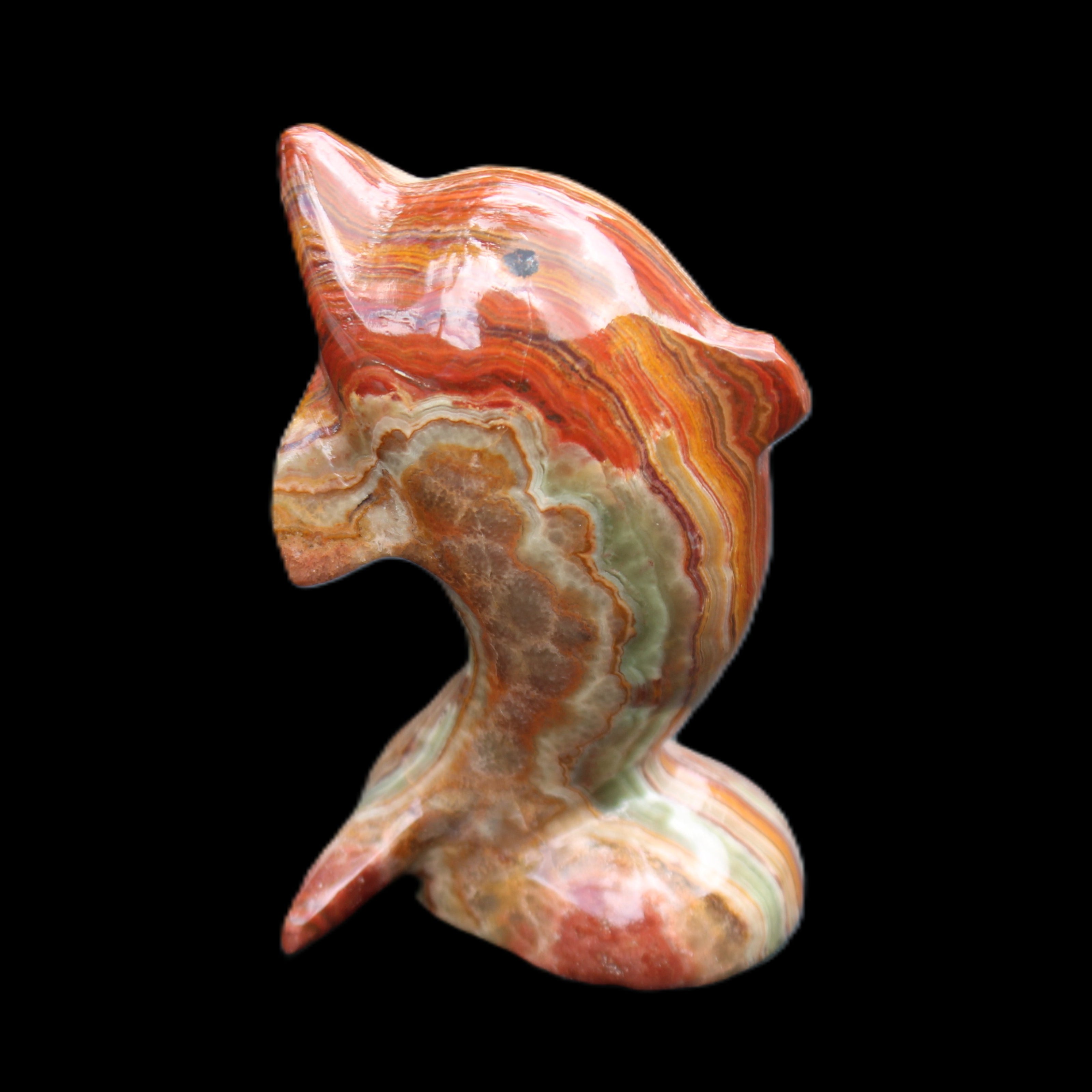 Colouful Afghan Jade Leaping Dolphin hand-carved 83*53*33mm 184g in sunlight - Rocks and Things Store