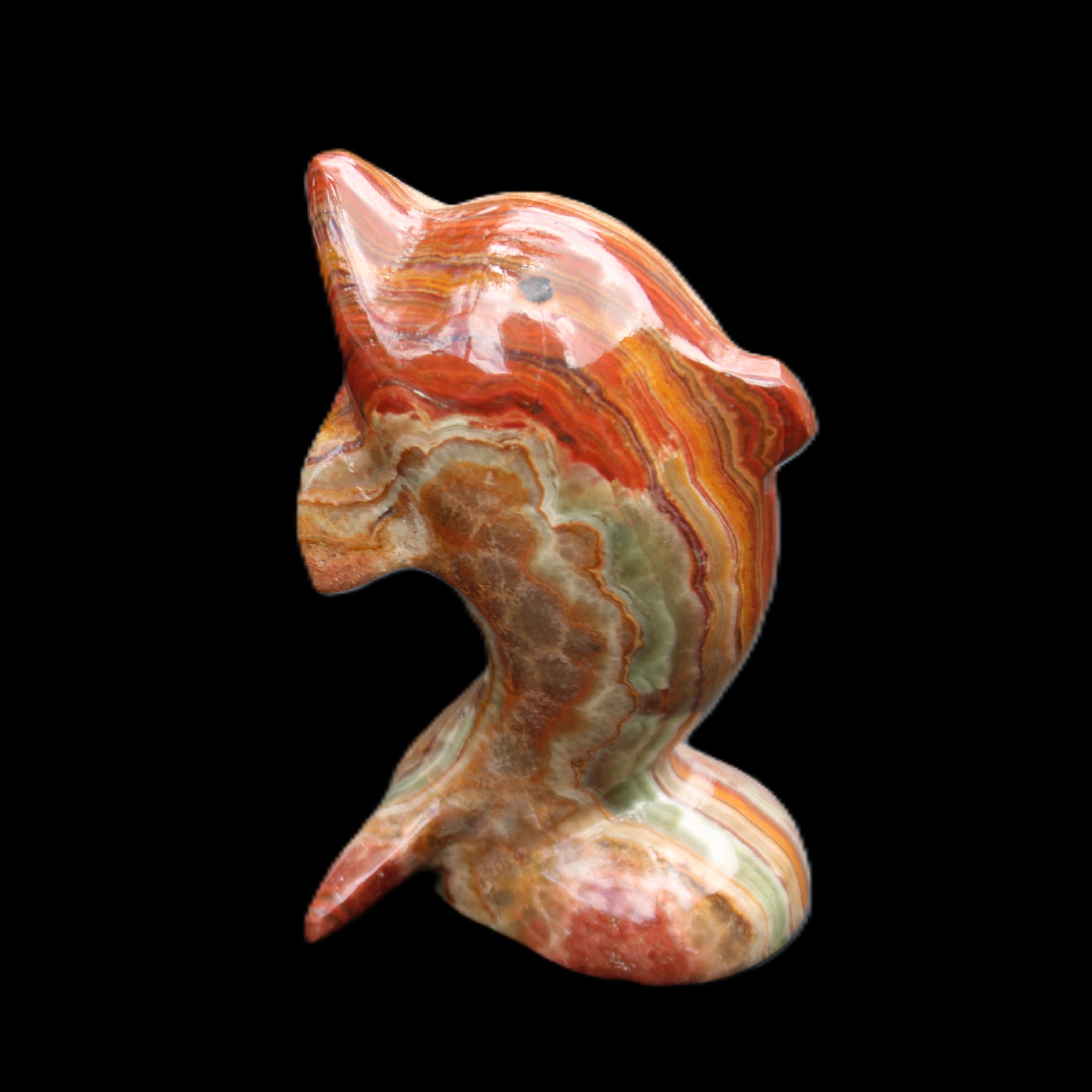 Colouful Afghan Jade Leaping Dolphin hand-carved 83*53*33mm 184g in sunlight - Rocks and Things Store