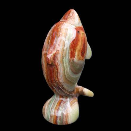 Colouful Afghan Jade Leaping Dolphin hand-carved 83*53*33mm 184g in sunlight - Rocks and Things Store