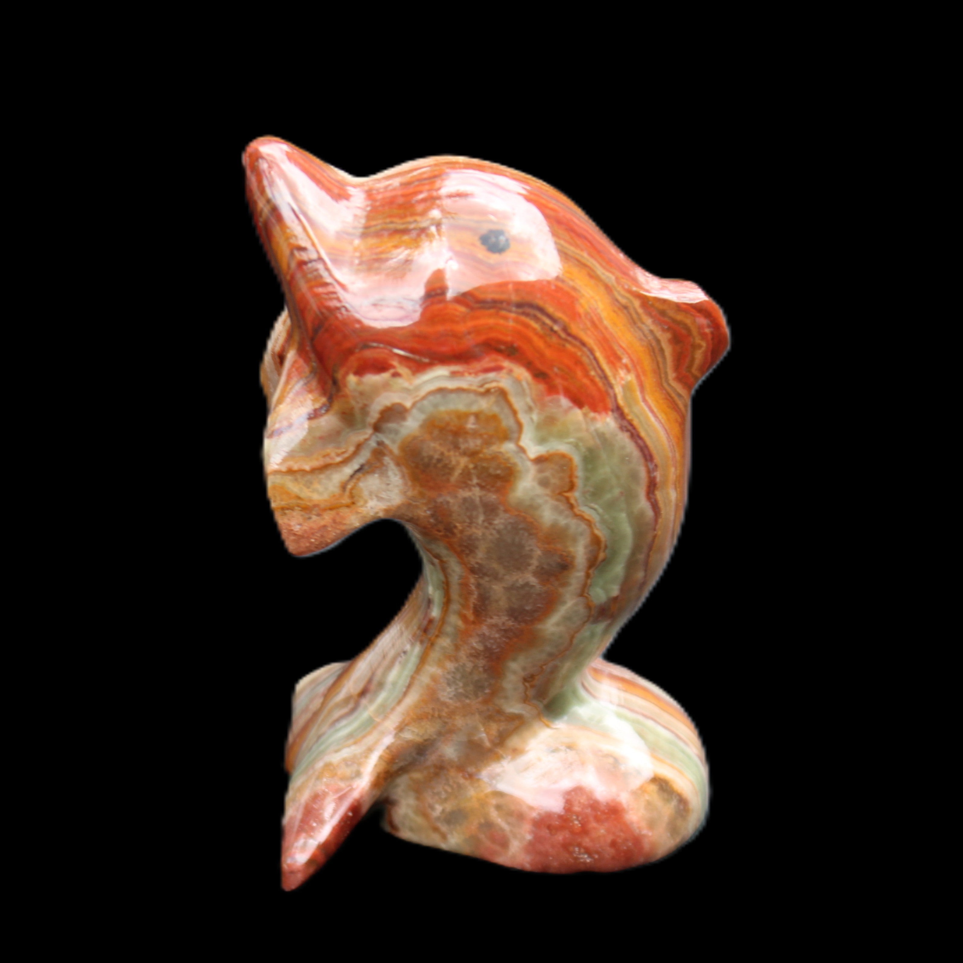 Colouful Afghan Jade Leaping Dolphin hand-carved 83*53*33mm 184g in sunlight - Rocks and Things Store