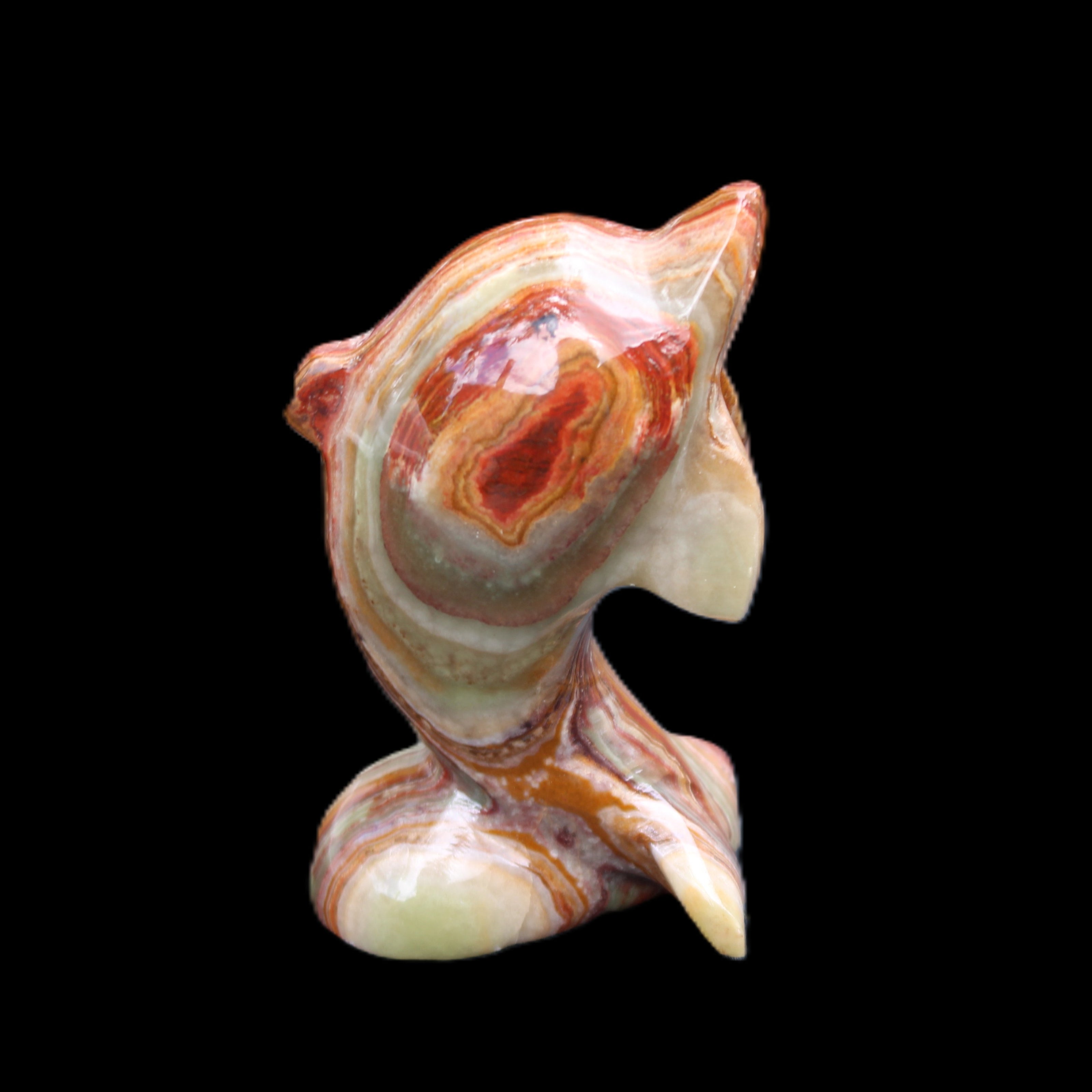 Colouful Afghan Jade Leaping Dolphin hand-carved 83*53*33mm 184g in sunlight - Rocks and Things Store