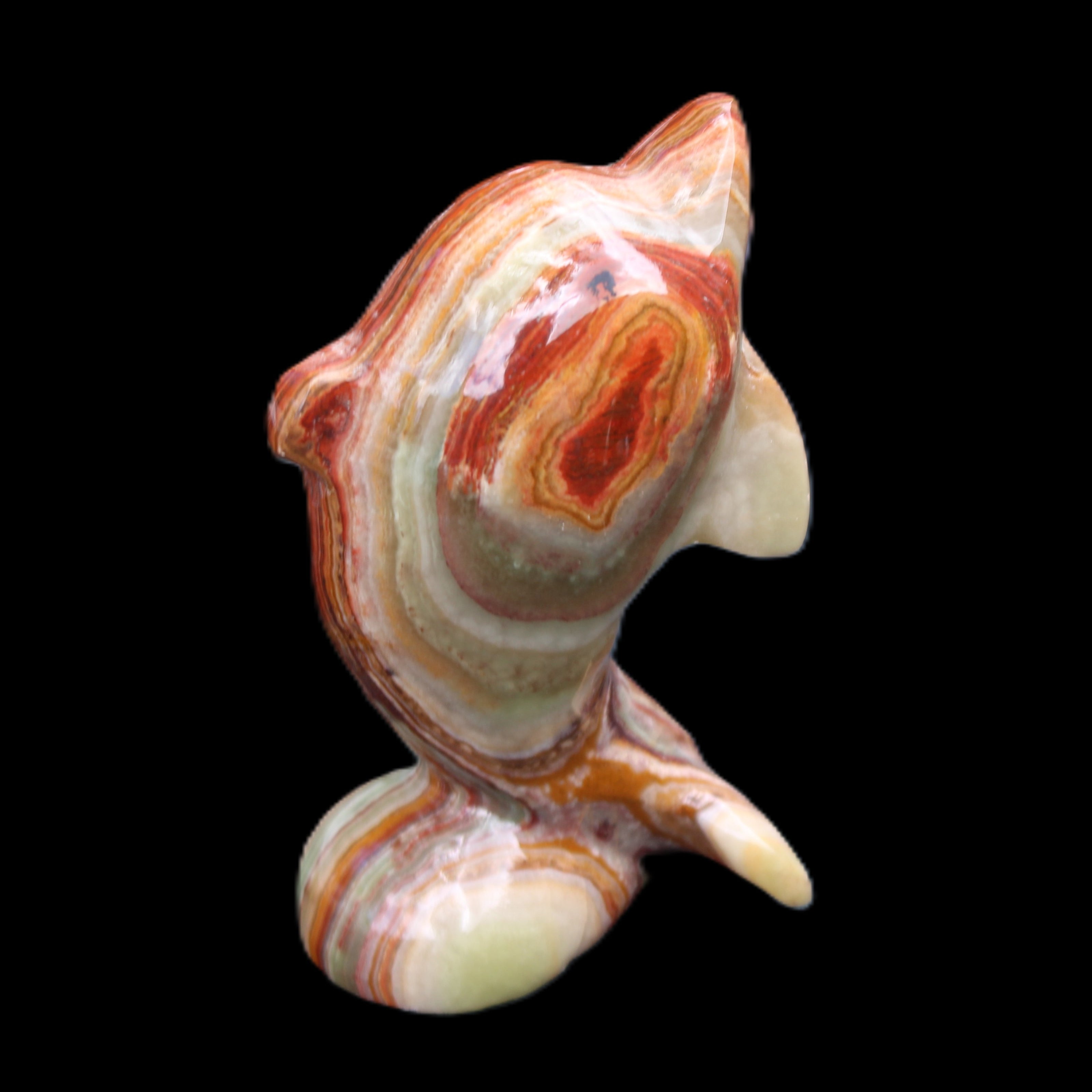 Colouful Afghan Jade Leaping Dolphin hand-carved 83*53*33mm 184g in sunlight - Rocks and Things Store