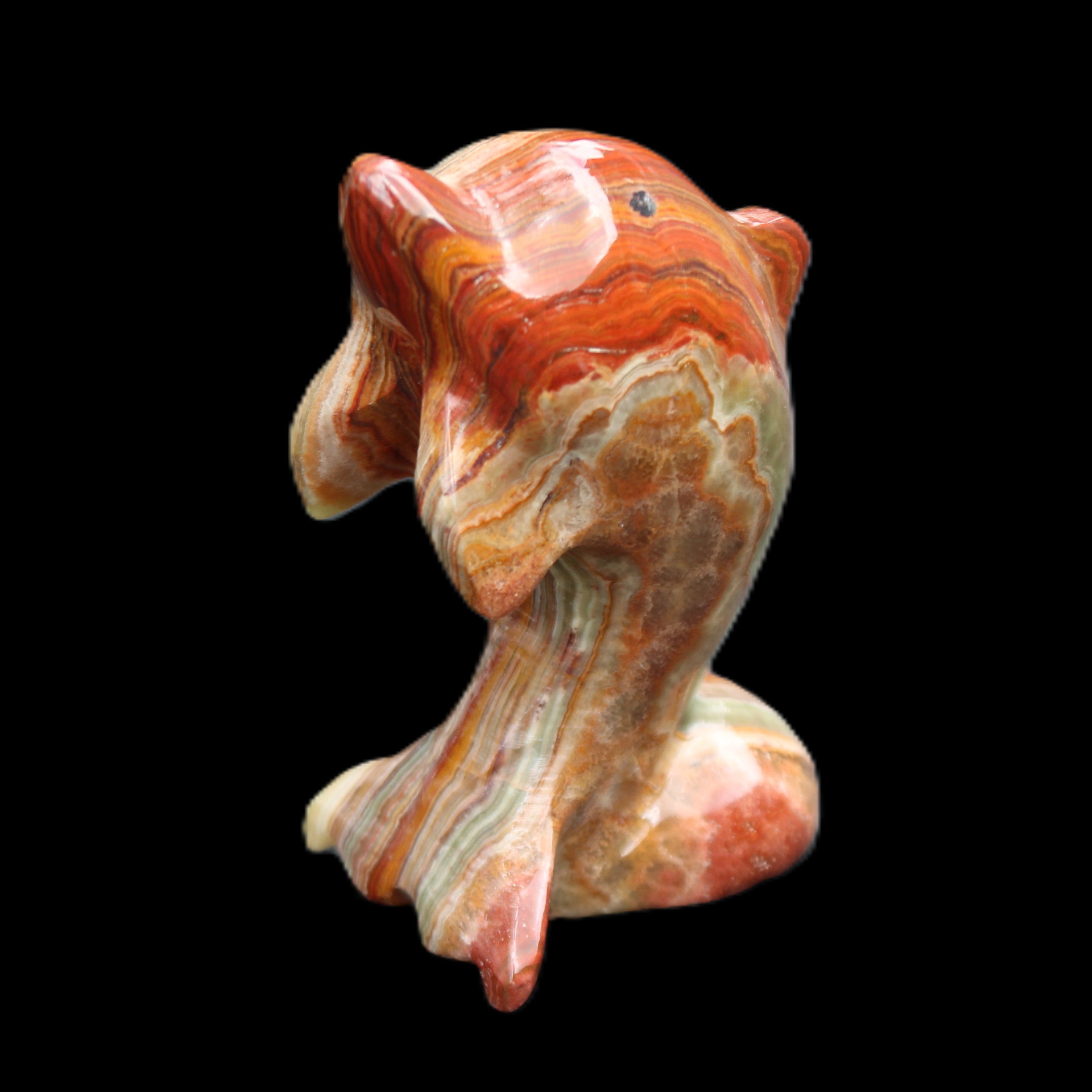 Colouful Afghan Jade Leaping Dolphin hand-carved 83*53*33mm 184g in sunlight - Rocks and Things Store