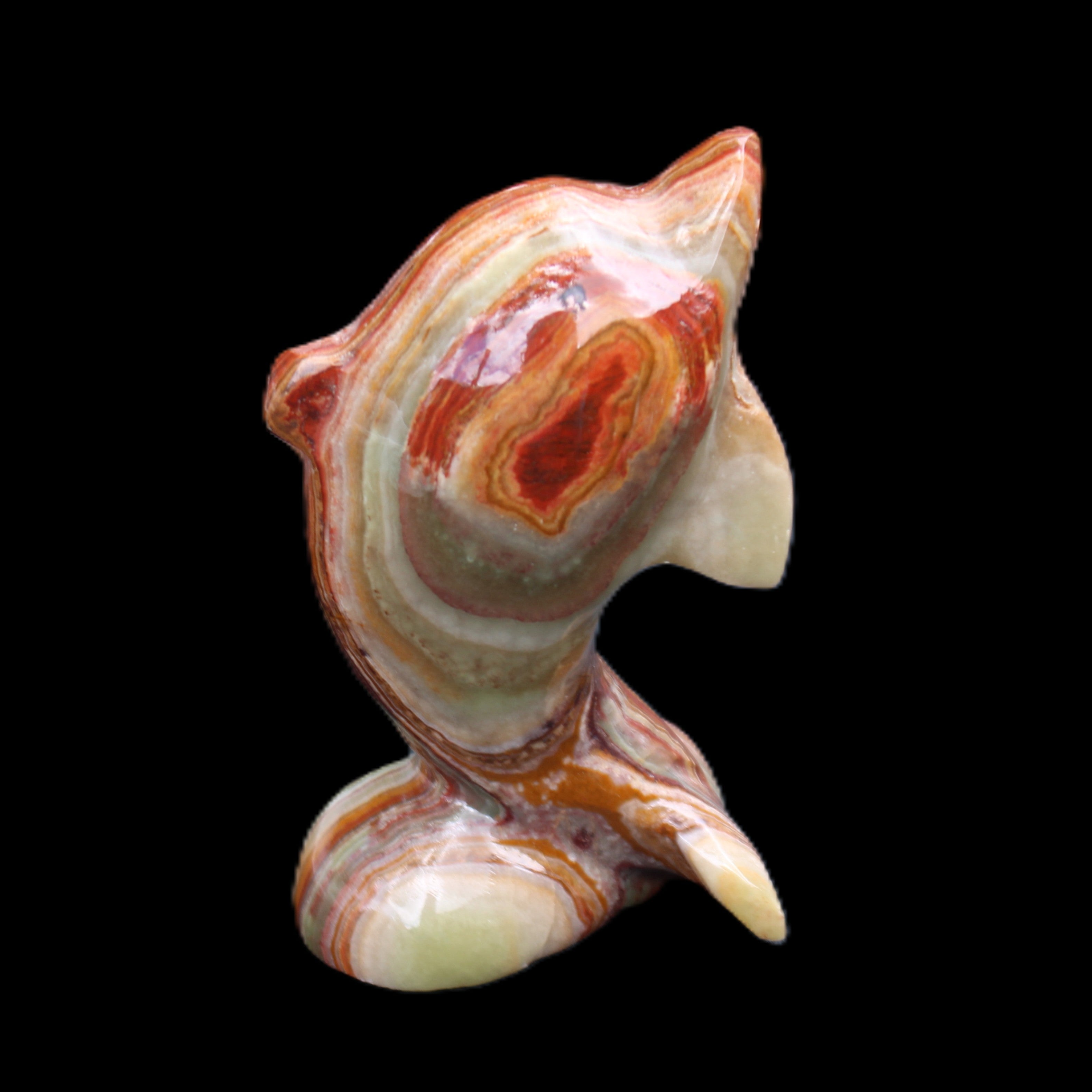 Colouful Afghan Jade Leaping Dolphin hand-carved 83*53*33mm 184g in sunlight - Rocks and Things Store