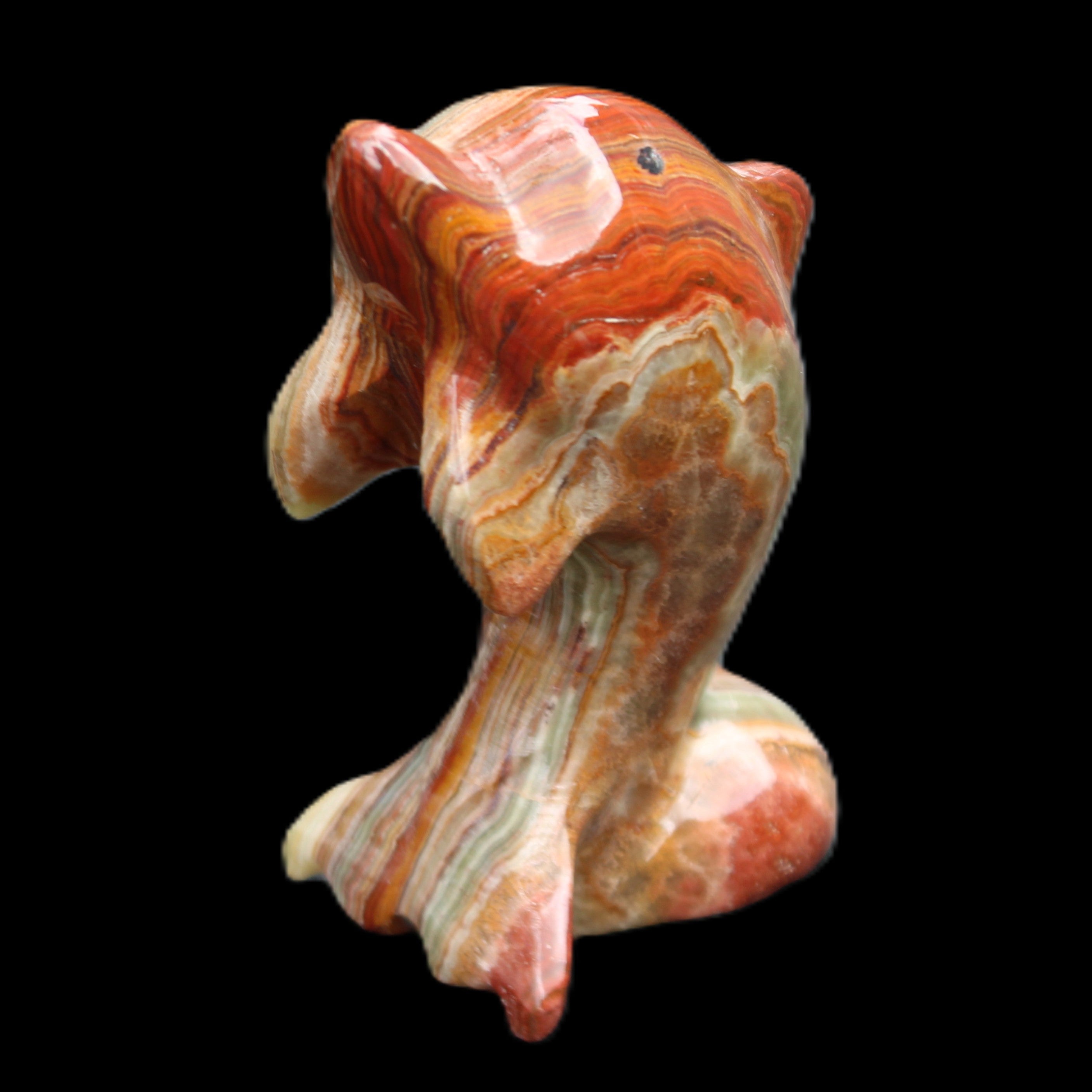 Colouful Afghan Jade Leaping Dolphin hand-carved 83*53*33mm 184g in sunlight - Rocks and Things Store