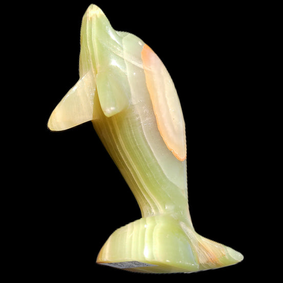 Afghan Jade Leaping Dolphin hand-carved 95*69*34mm 190g (repaired) in sunlight - Rocks and Things Store