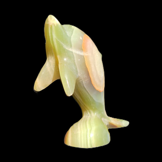 Afghan Jade Leaping Dolphin hand-carved 95*69*34mm 190g (repaired) in sunlight - Rocks and Things Store