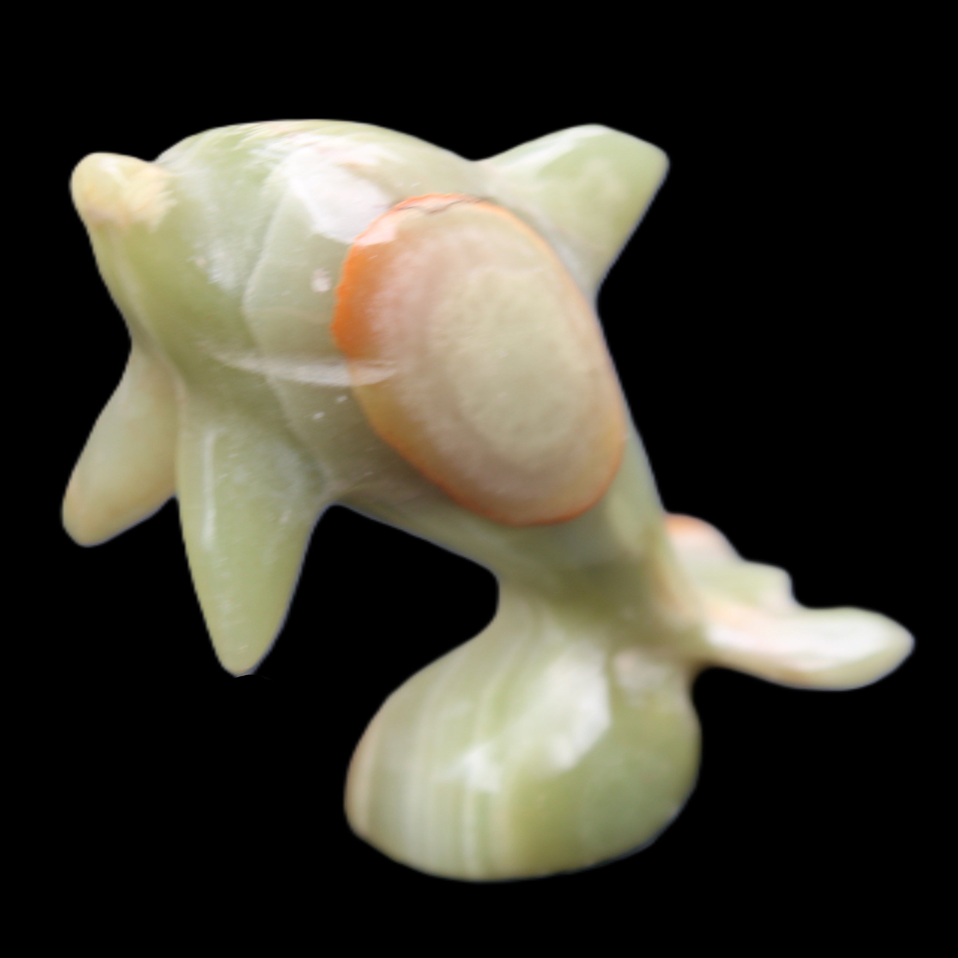 Afghan Jade Leaping Dolphin hand-carved 95*69*34mm 190g in sunlight - Rocks and Things Store
