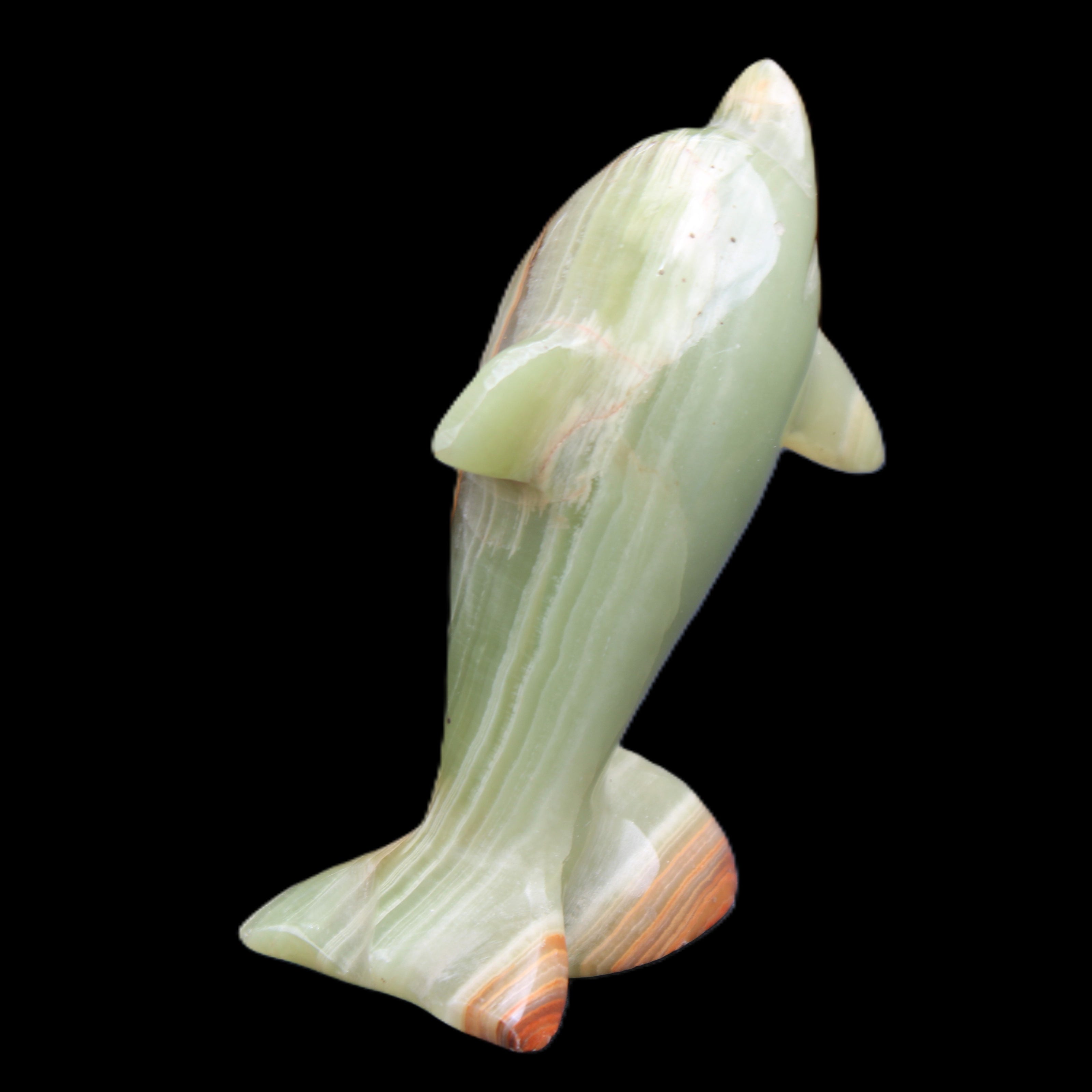 Afghan Jade Leaping Dolphin hand-carved 95*69*34mm 190g in sunlight - Rocks and Things Store