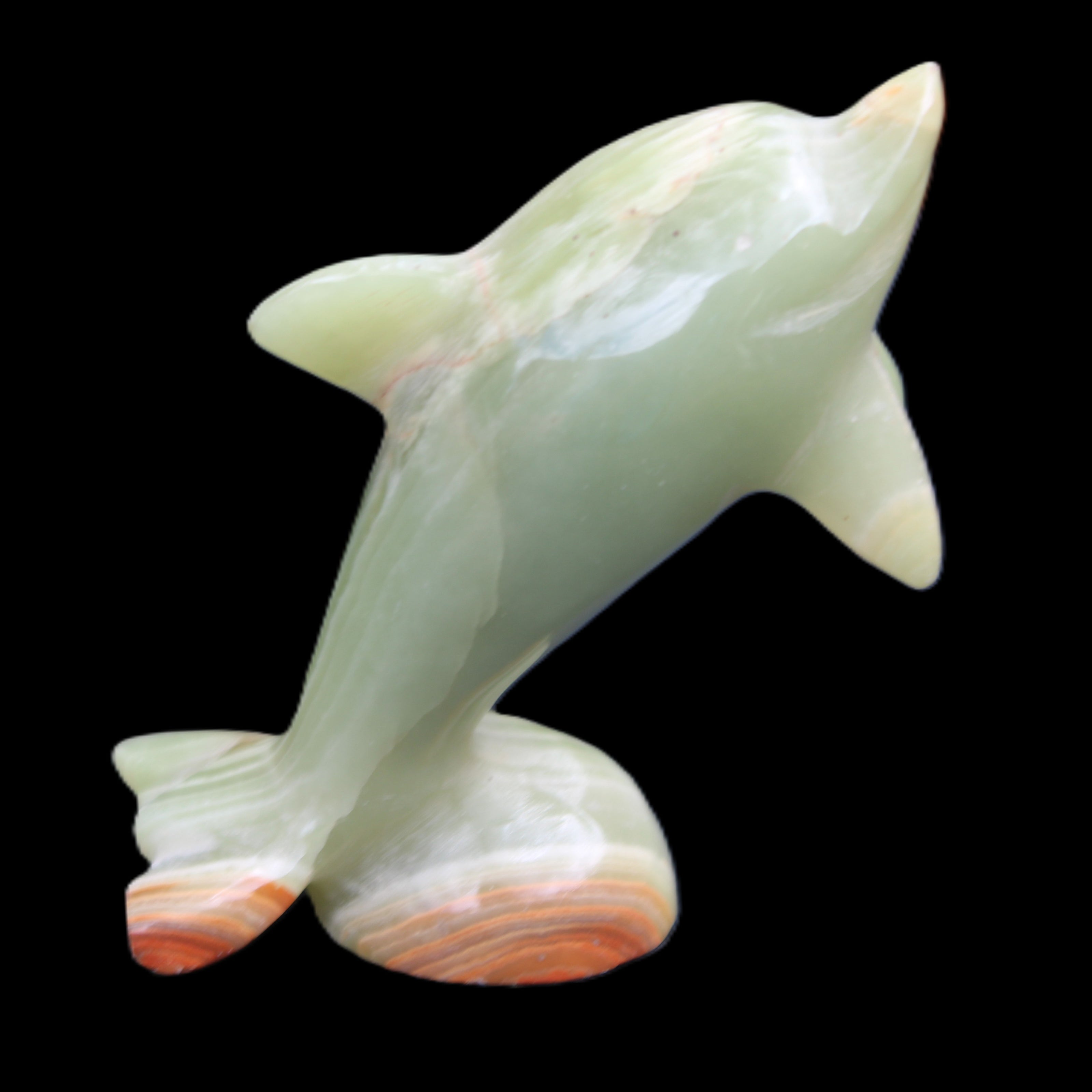 Afghan Jade Leaping Dolphin hand-carved 95*69*34mm 190g in sunlight - Rocks and Things Store