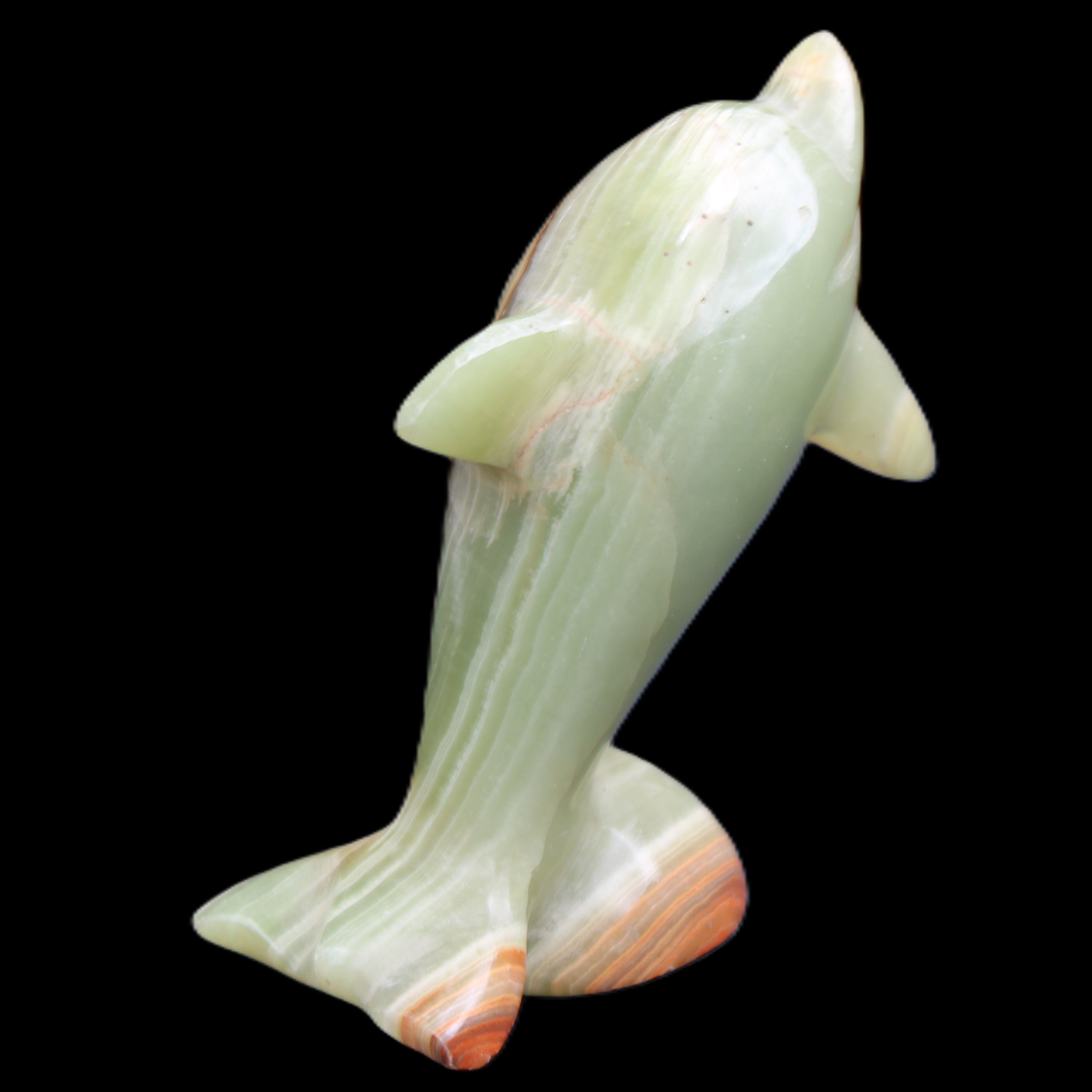 Afghan Jade Leaping Dolphin hand-carved 95*69*34mm 190g in sunlight - Rocks and Things Store