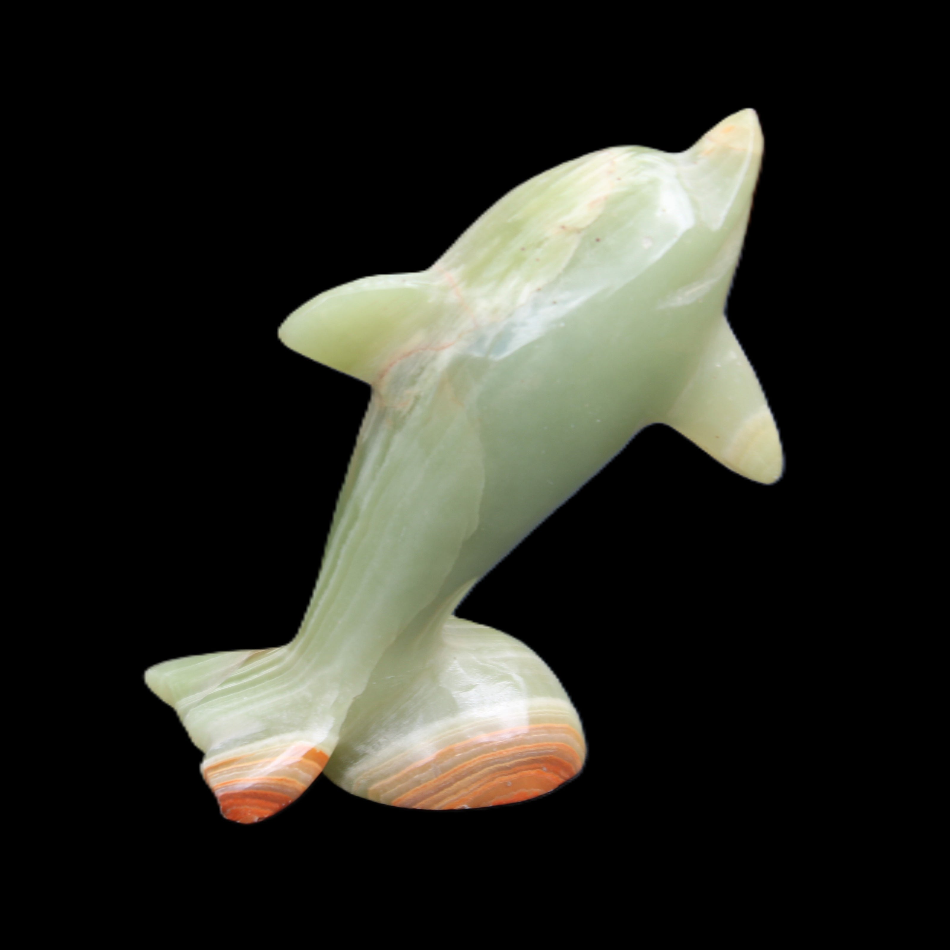 Afghan Jade Leaping Dolphin hand-carved 95*69*34mm 190g in sunlight - Rocks and Things Store