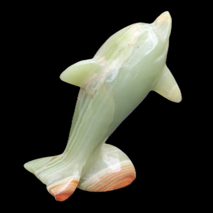 Afghan Jade Leaping Dolphin hand-carved 95*69*34mm 190g in sunlight - Rocks and Things Store