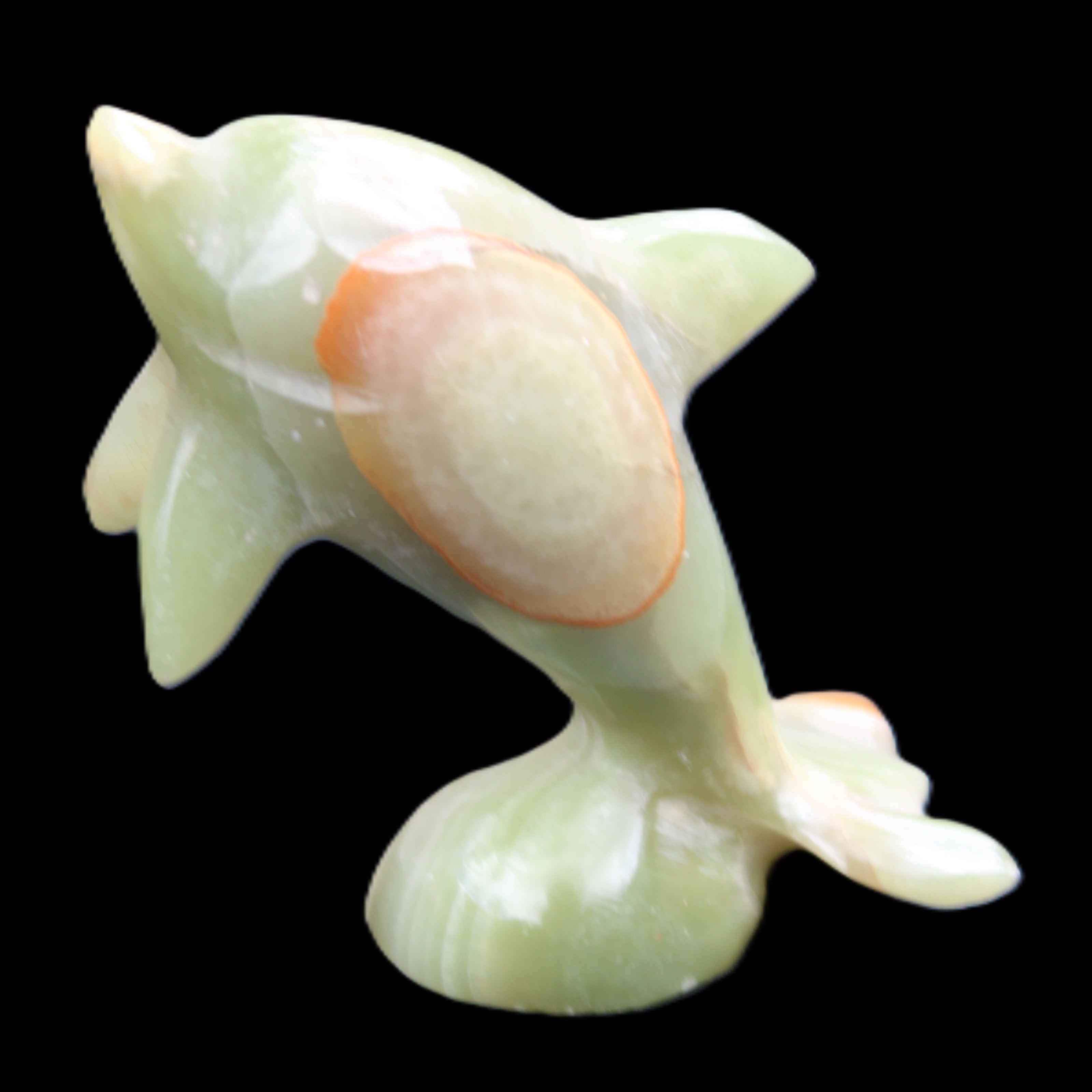 Afghan Jade Leaping Dolphin hand-carved 95*69*34mm 190g in sunlight - Rocks and Things Store