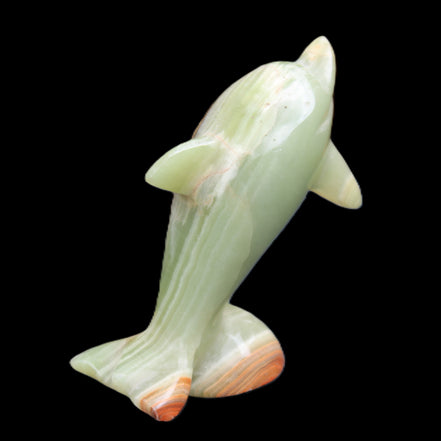 Afghan Jade Leaping Dolphin hand-carved 95*69*34mm 190g in sunlight - Rocks and Things Store
