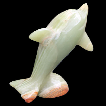 Afghan Jade Leaping Dolphin hand-carved 95*69*34mm 190g in sunlight - Rocks and Things Store