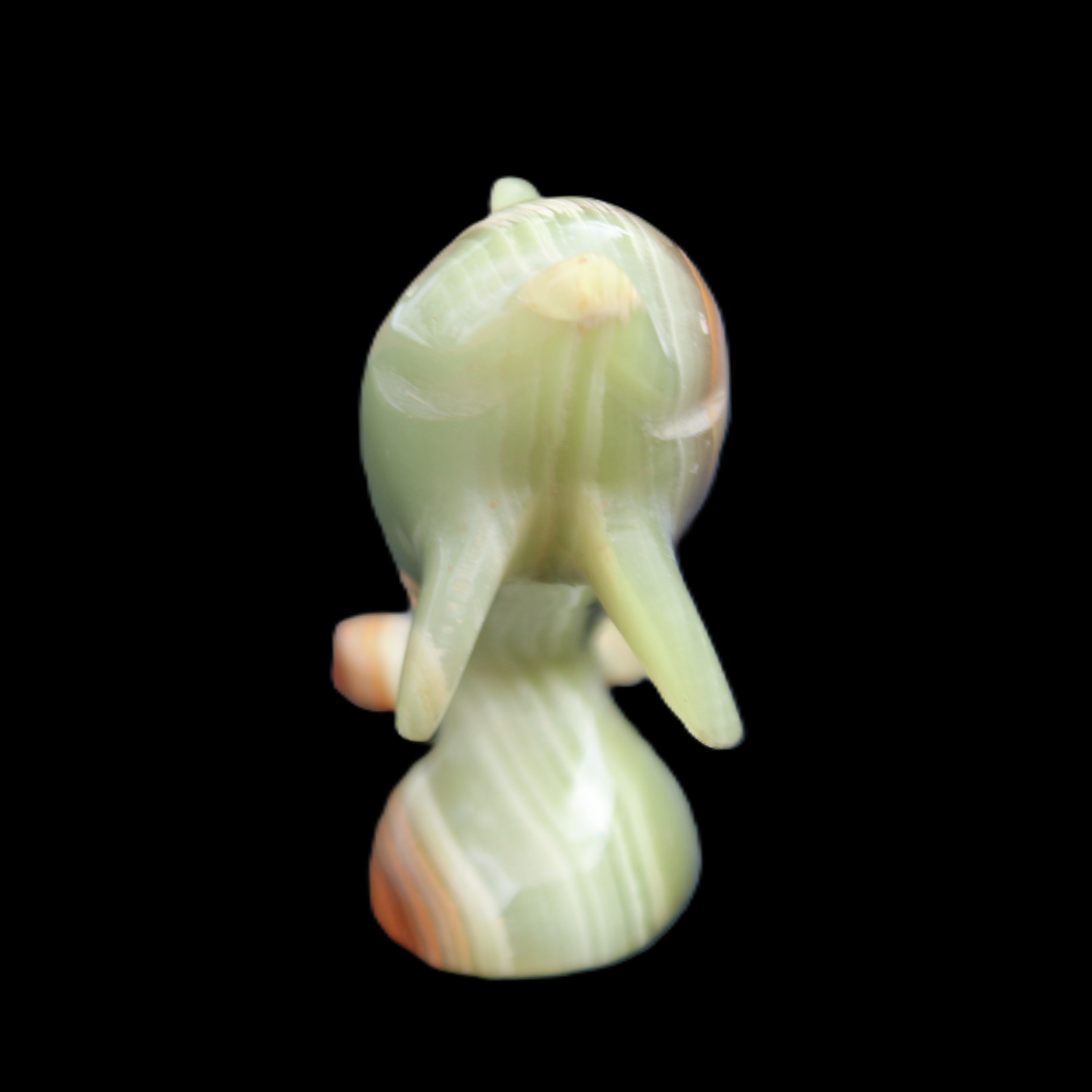 Afghan Jade Leaping Dolphin hand-carved 95*69*34mm 190g in sunlight - Rocks and Things Store