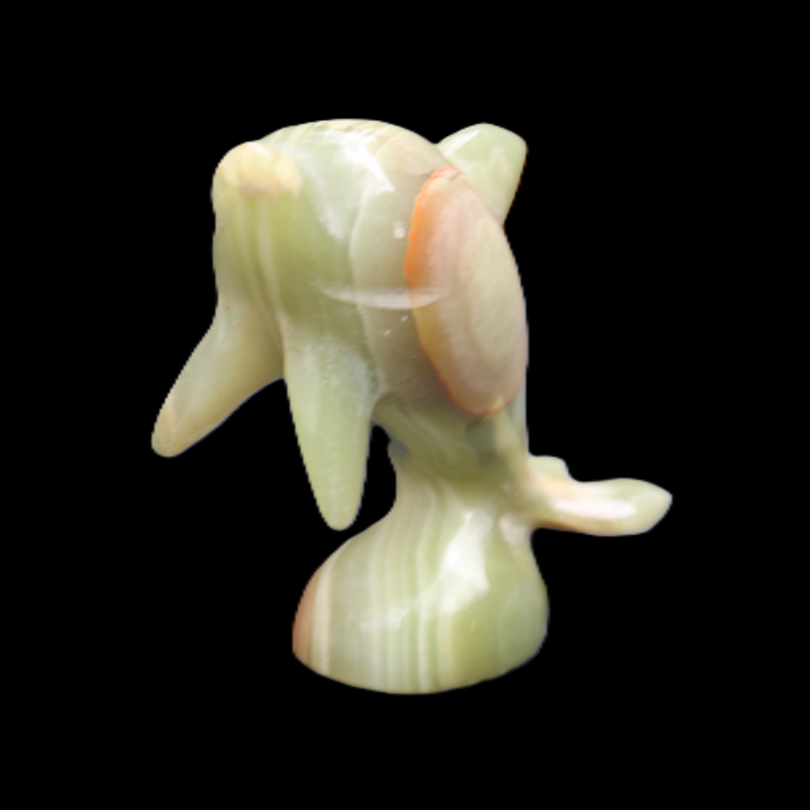 Afghan Jade Leaping Dolphin hand-carved 95*69*34mm 190g in sunlight - Rocks and Things Store