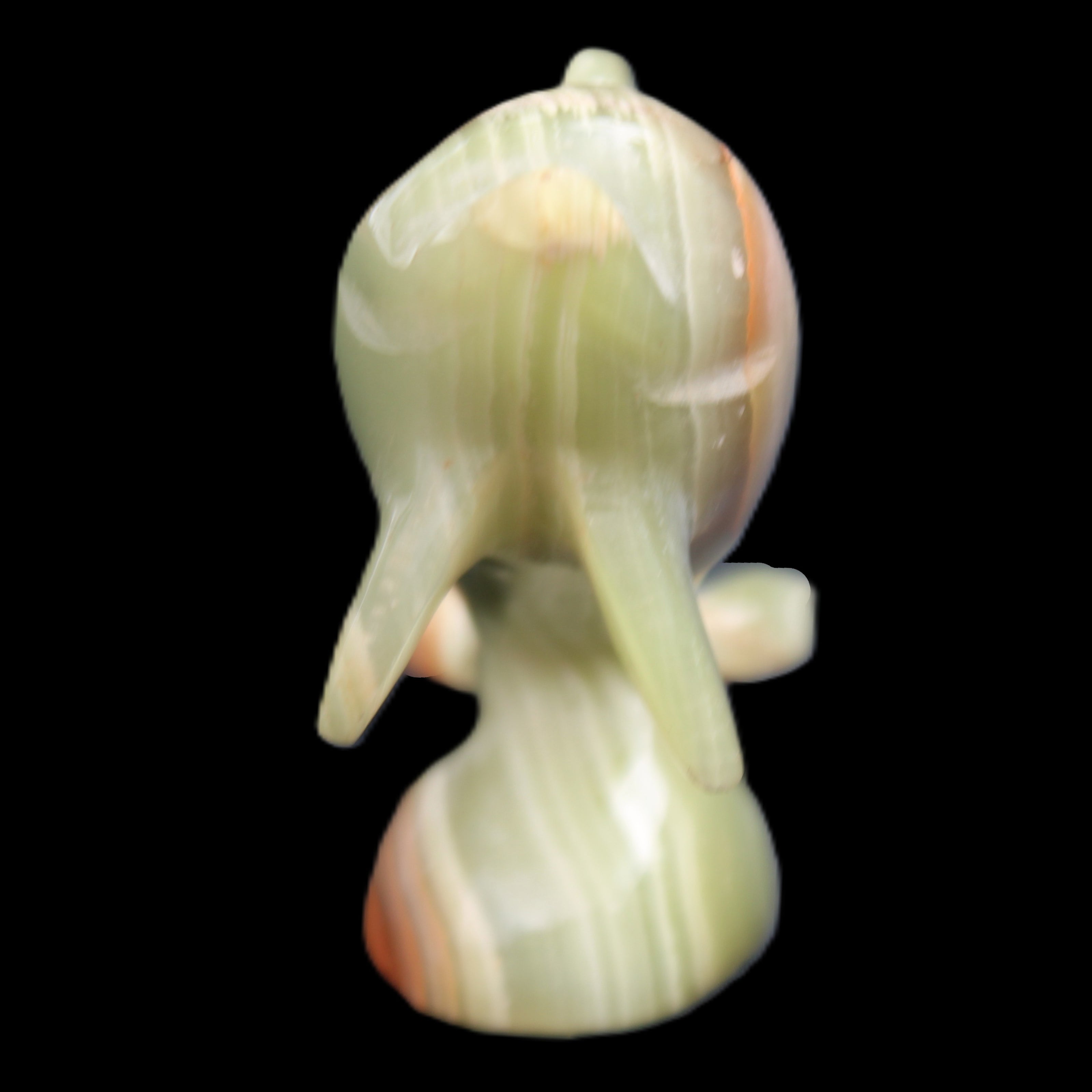 Afghan Jade Leaping Dolphin hand-carved 95*69*34mm 190g in sunlight - Rocks and Things Store