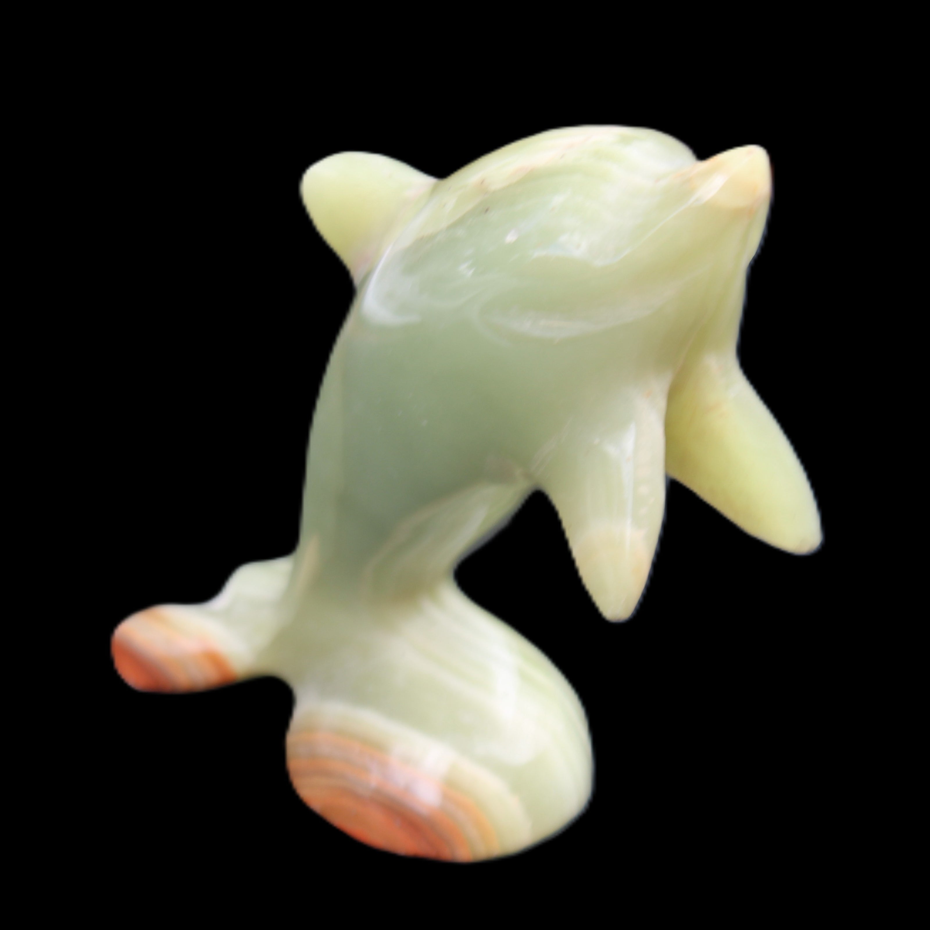 Afghan Jade Leaping Dolphin hand-carved 95*69*34mm 190g in sunlight - Rocks and Things Store