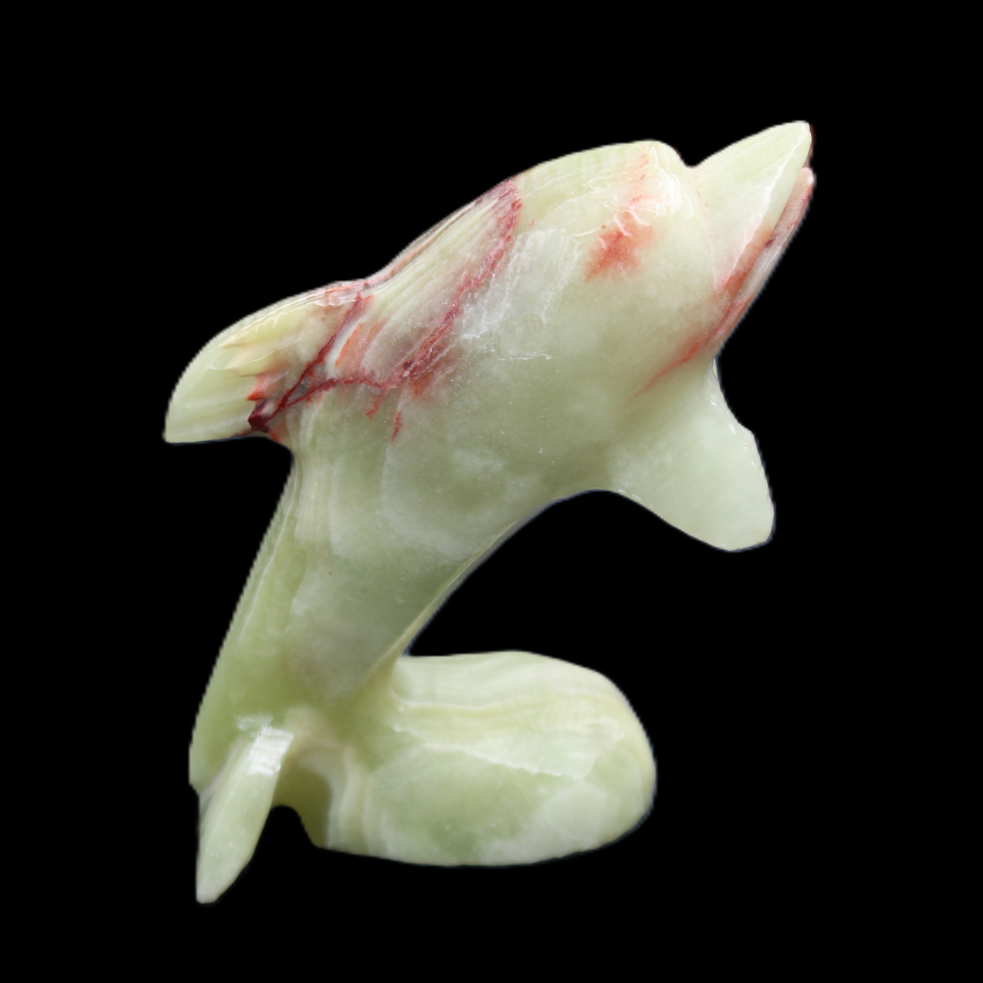 Afghan Jade Leaping Dolphin hand-carved 78*59*30mm 125g in sunlight - Rocks and Things Store