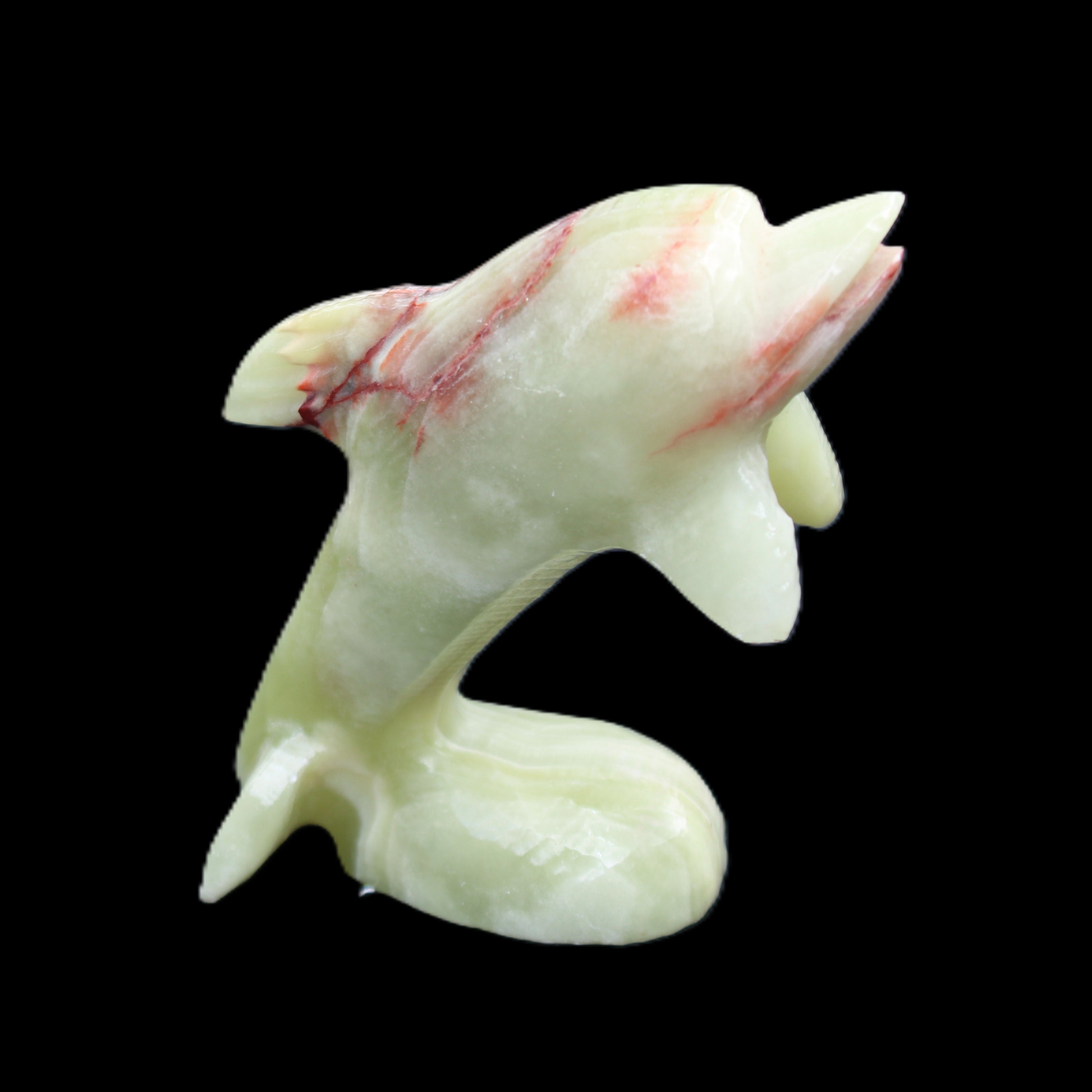 Afghan Jade Leaping Dolphin hand-carved 78*59*30mm 125g in sunlight - Rocks and Things Store