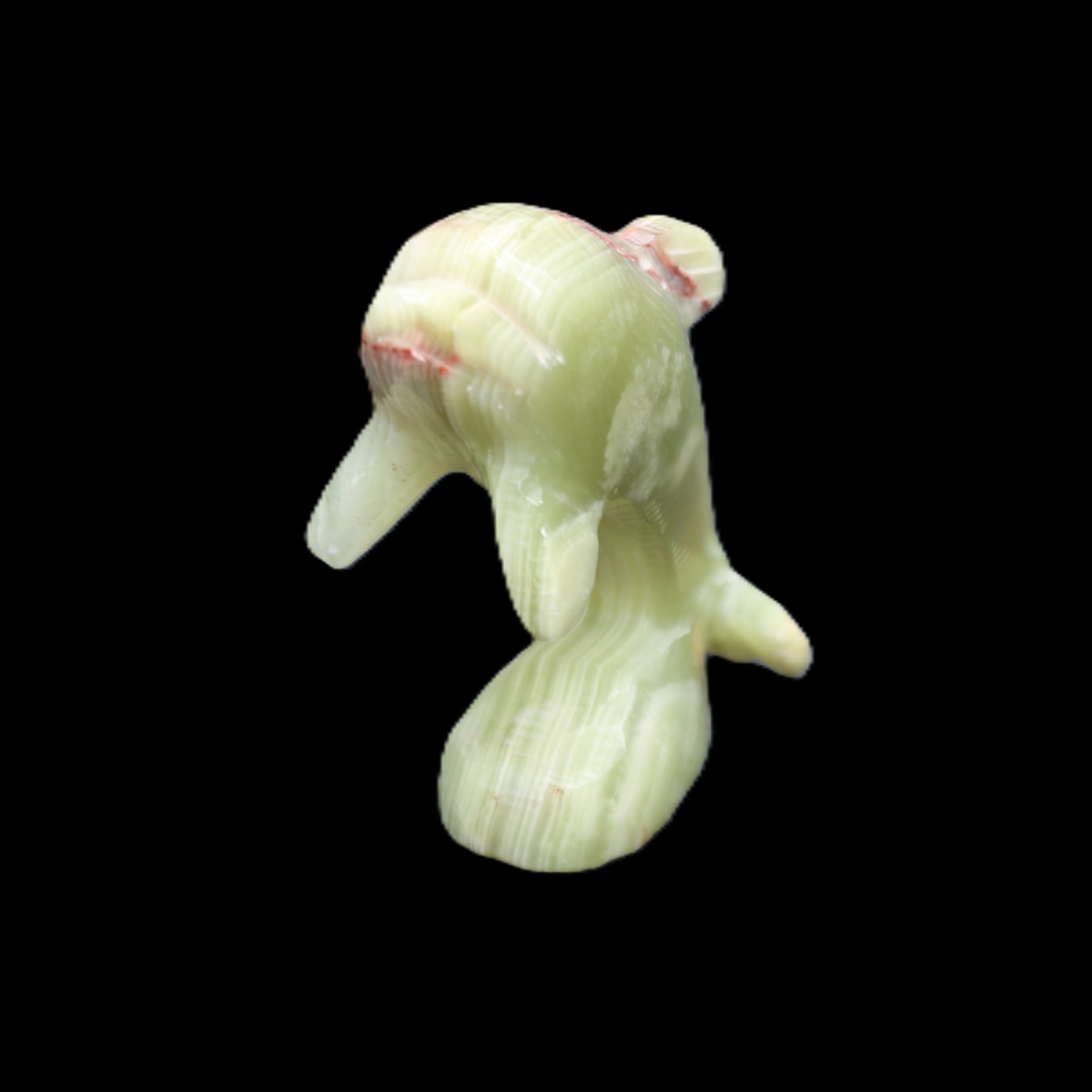 Afghan Jade Leaping Dolphin hand-carved 78*59*30mm 125g in sunlight - Rocks and Things Store