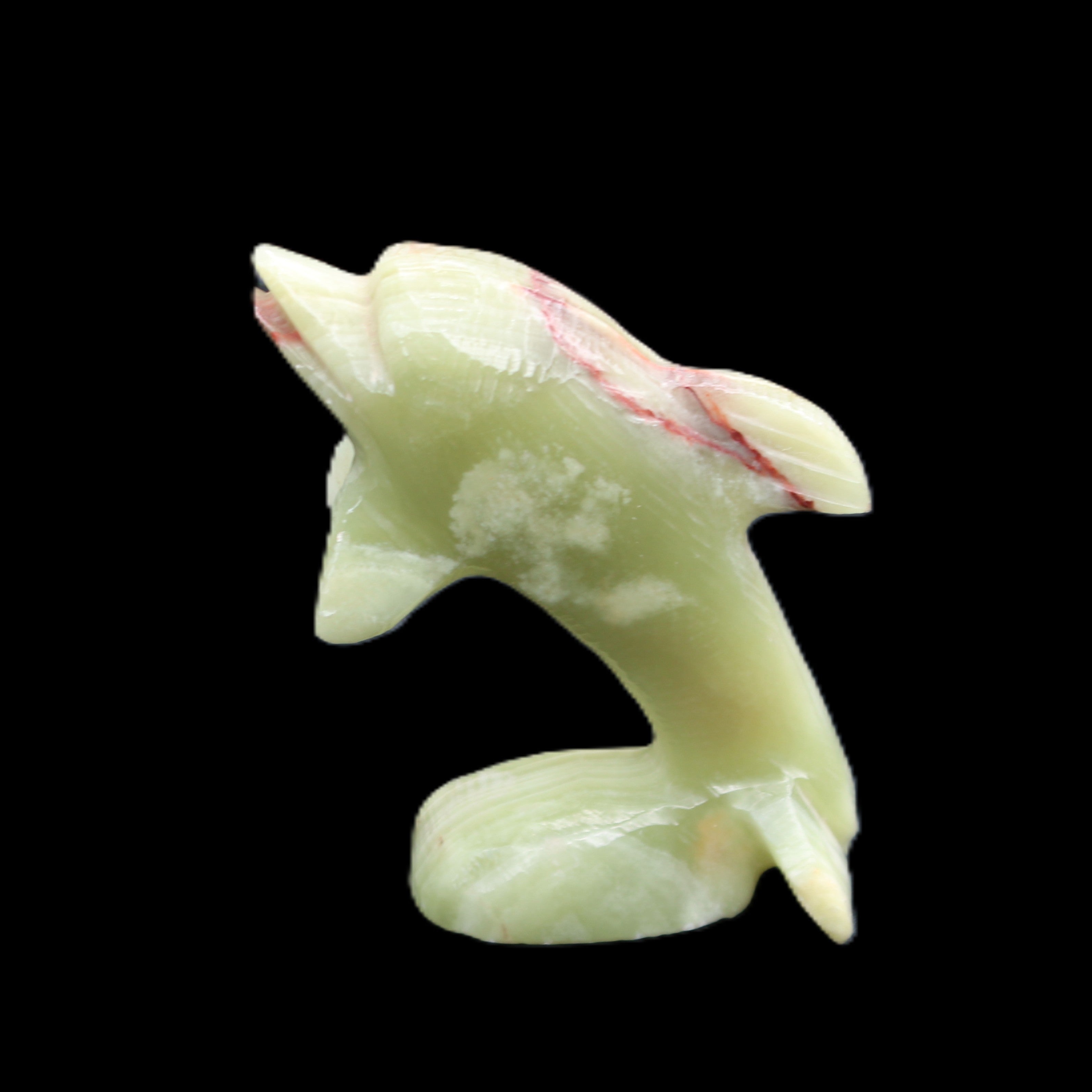 Afghan Jade Leaping Dolphin hand-carved 78*59*30mm 125g in sunlight - Rocks and Things Store