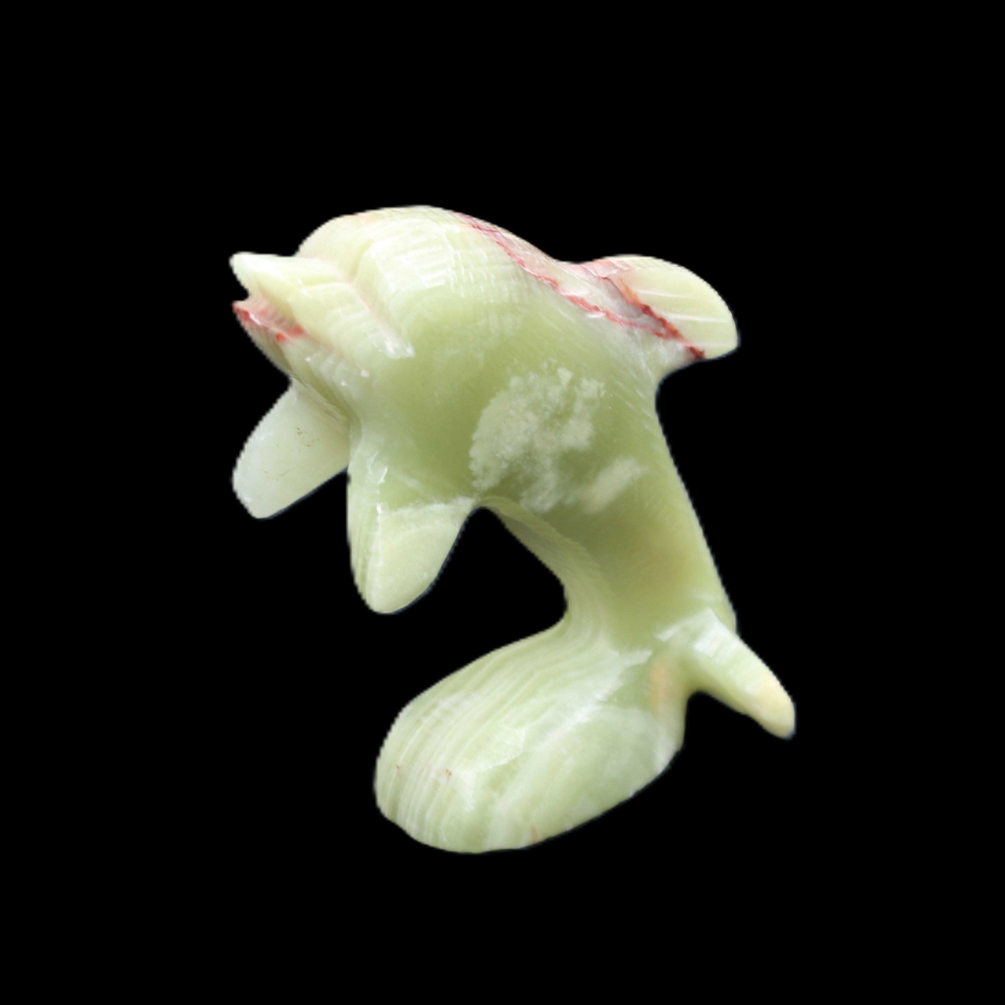 Afghan Jade Leaping Dolphin hand-carved 78*59*30mm 125g in sunlight - Rocks and Things Store