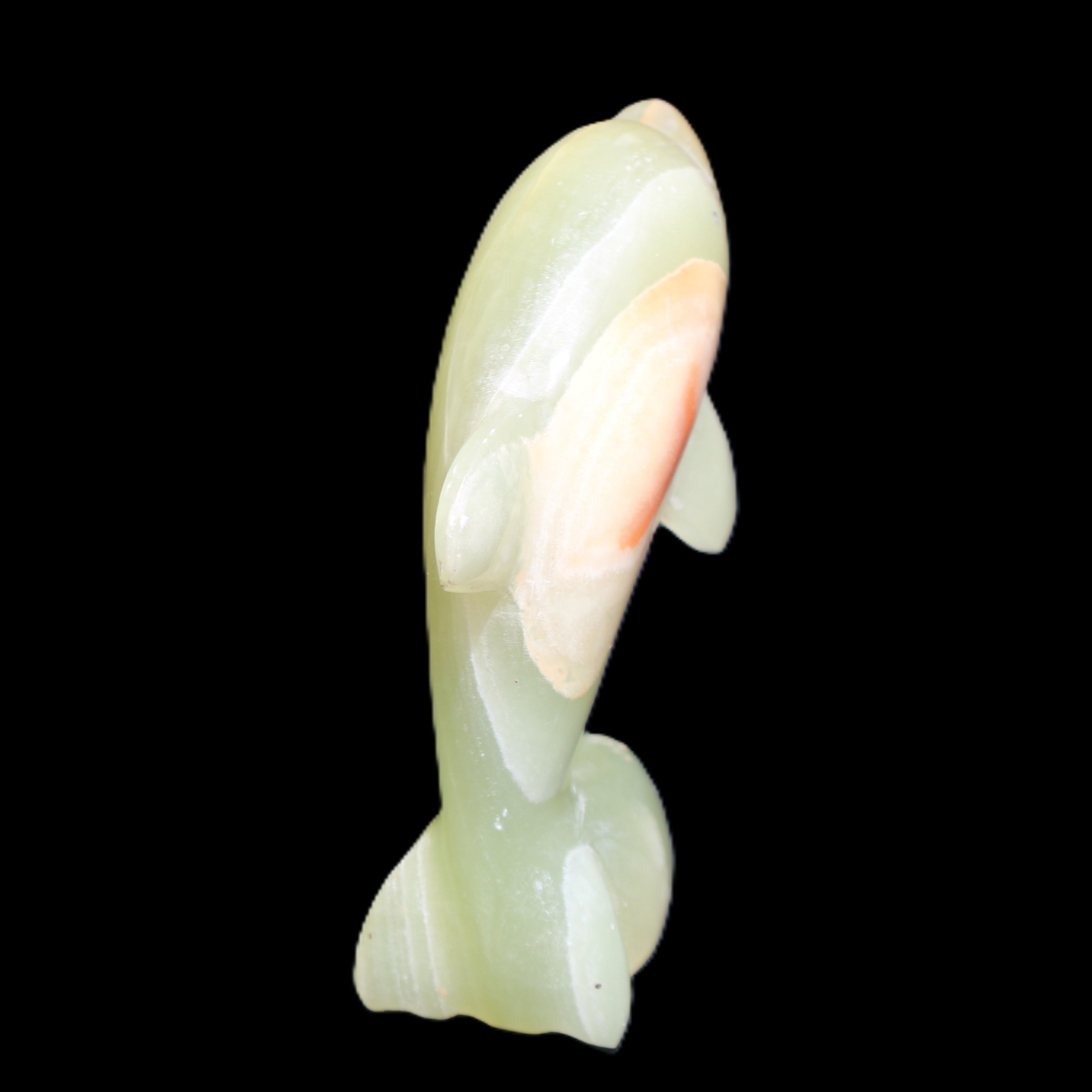 Afghan Jade Leaping Dolphin hand-carved 79*65*27mm 145g in sunlight - Rocks and Things Store