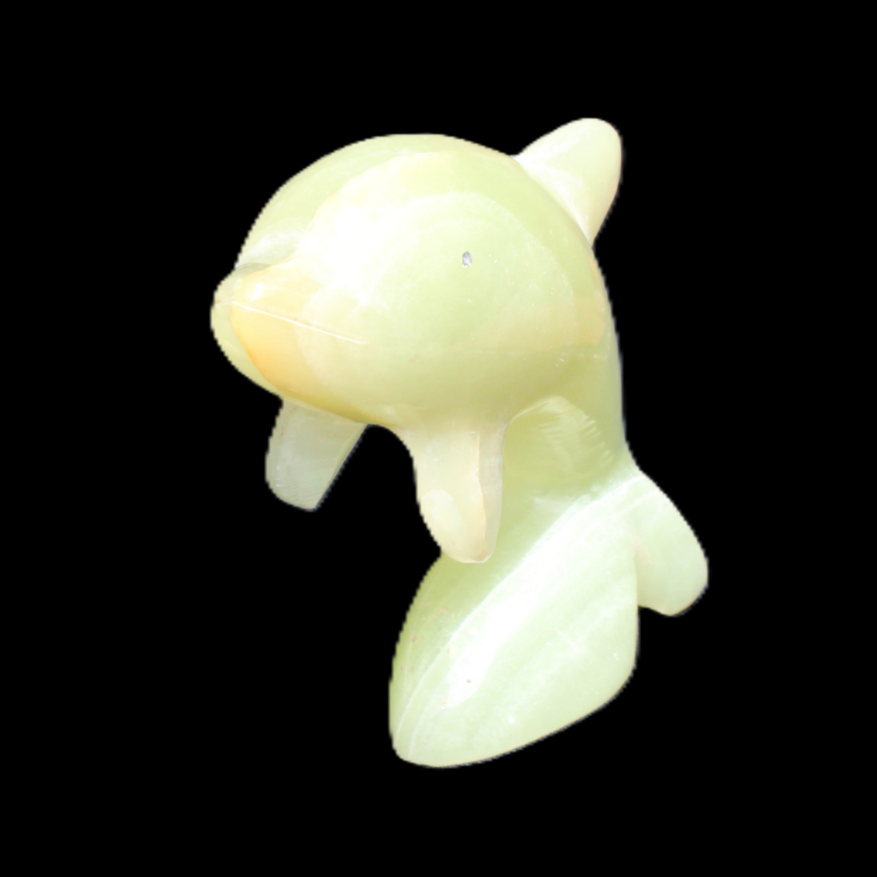 Afghan Jade Leaping Dolphin hand-carved 79*65*27mm 145g in sunlight - Rocks and Things Store