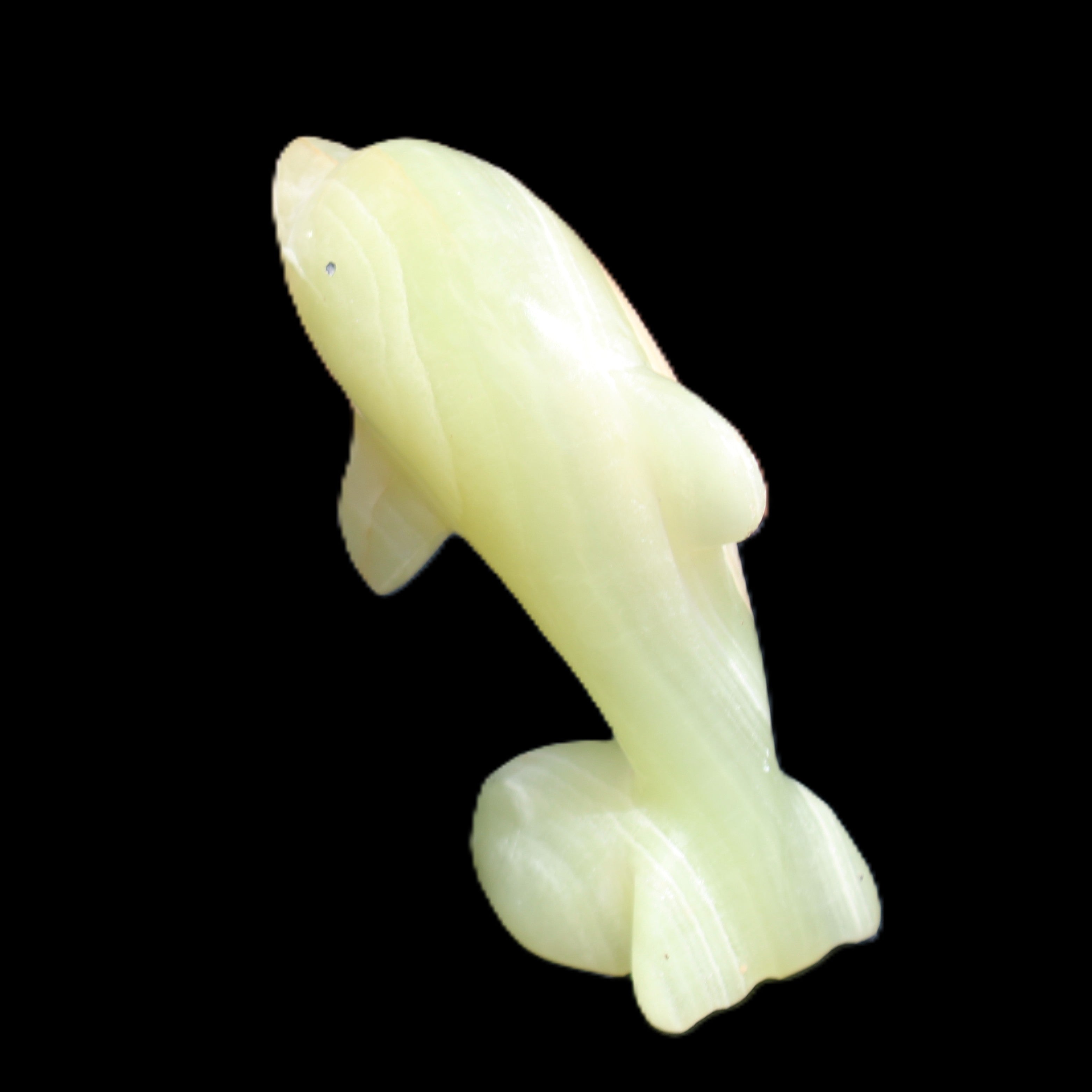 Afghan Jade Leaping Dolphin hand-carved 79*65*27mm 145g in sunlight - Rocks and Things Store