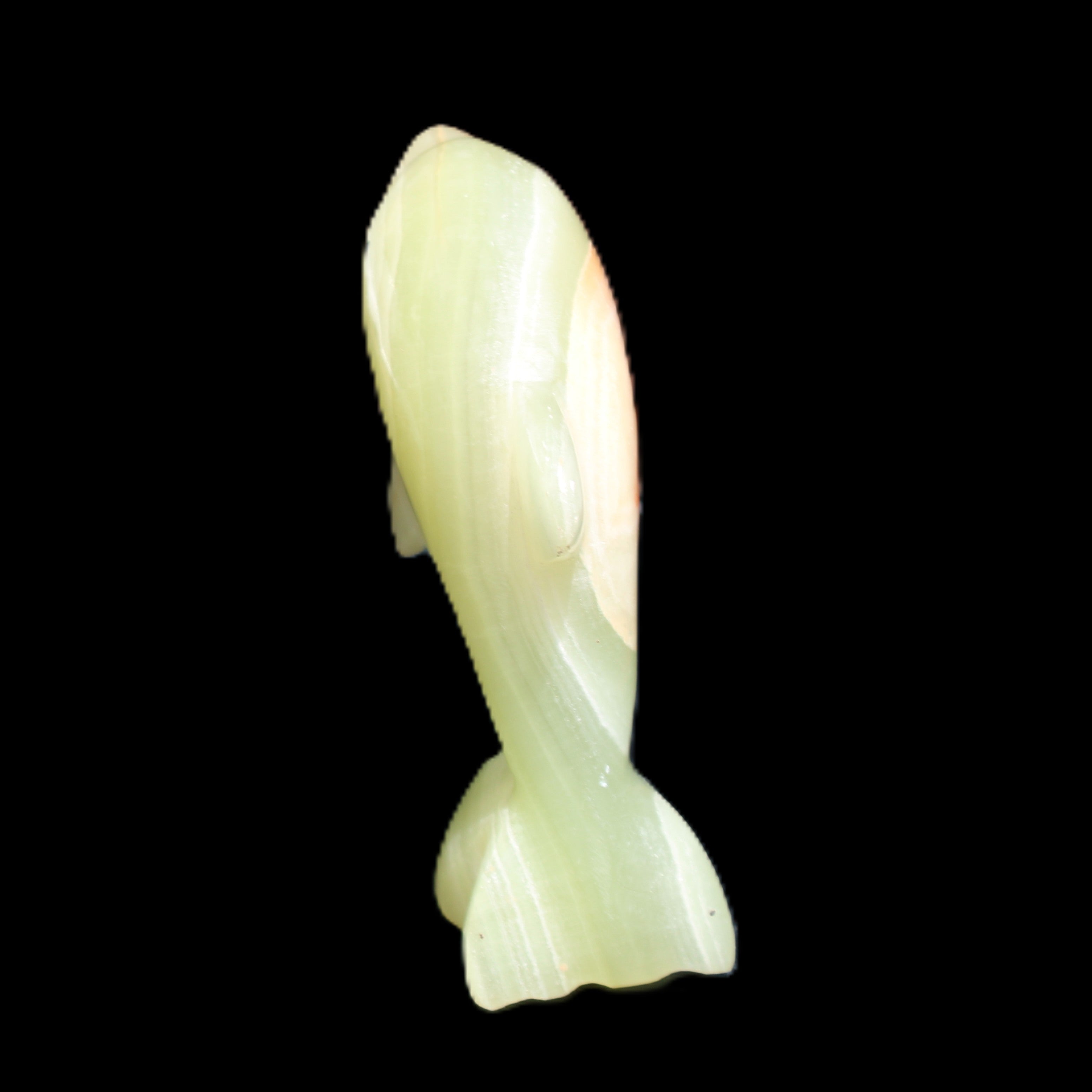 Afghan Jade Leaping Dolphin hand-carved 79*65*27mm 145g in sunlight - Rocks and Things Store