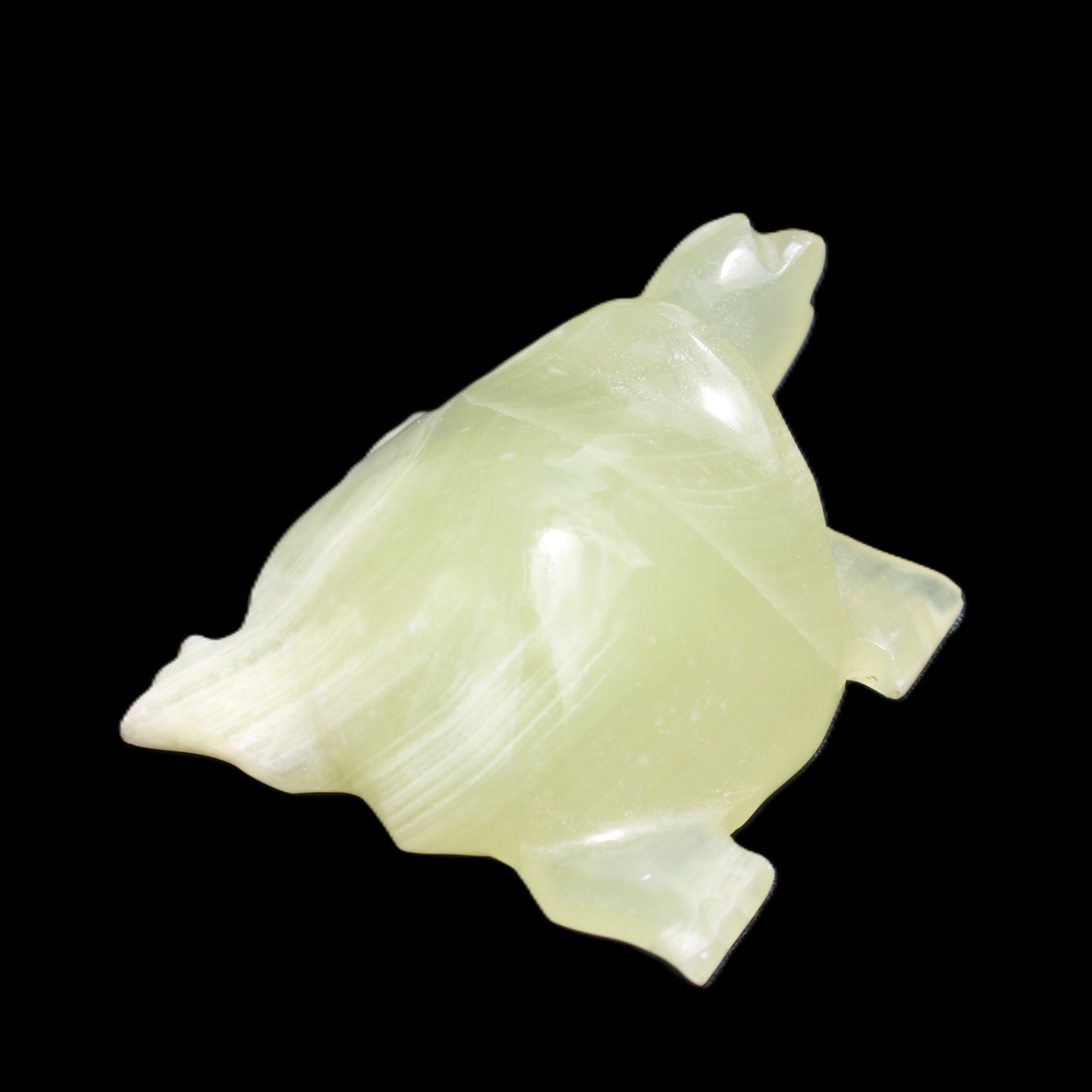 Afghan Jade Turtle hand-carved 78*72*31mm 211g in sunlight - Rocks and Things Store