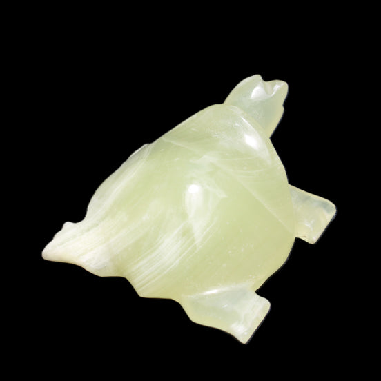 Afghan Jade Turtle hand-carved 78*72*31mm 211g in sunlight - Rocks and Things Store