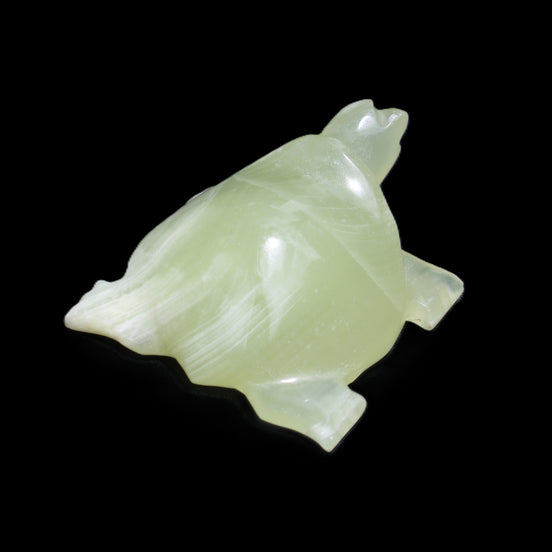Afghan Jade Turtle hand-carved 78*72*31mm 211g in sunlight - Rocks and Things Store