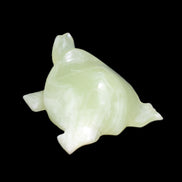 Afghan Jade Turtle hand-carved 78*72*31mm 211g in sunlight - Rocks and Things Store