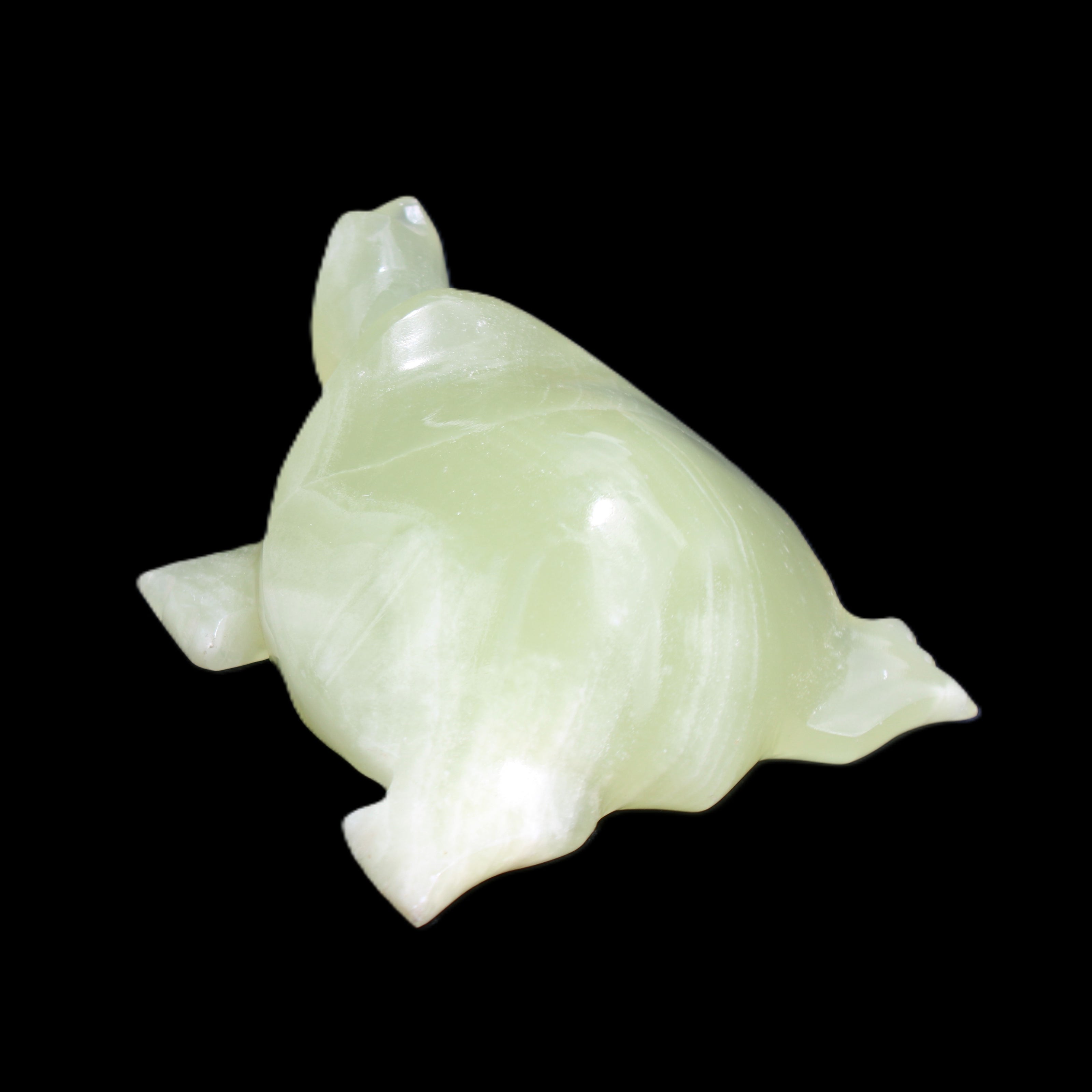 Afghan Jade Turtle hand-carved 78*72*31mm 211g in sunlight - Rocks and Things Store