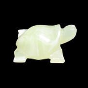 Afghan Jade Turtle hand-carved 78*72*31mm 211g in sunlight - Rocks and Things Store