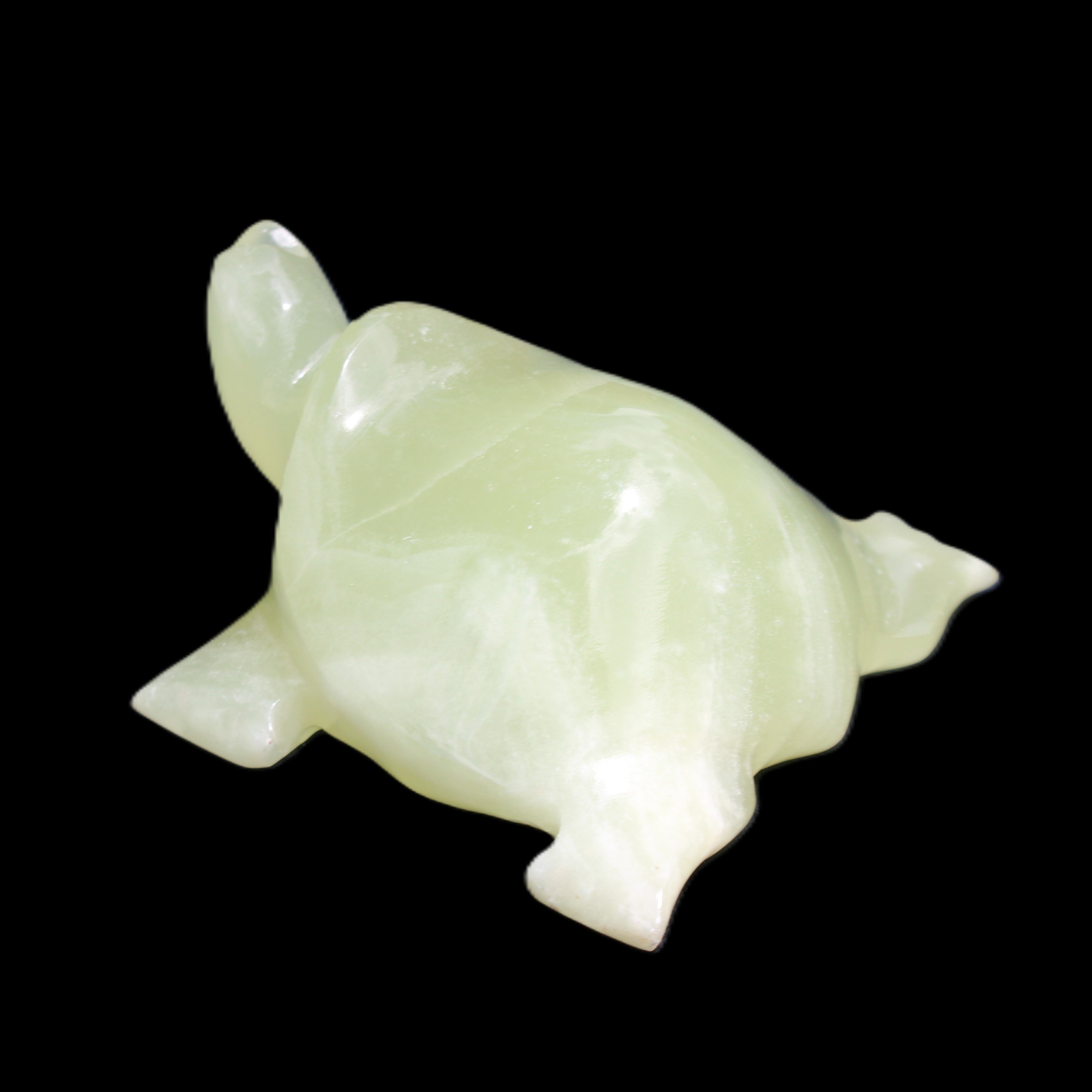 Afghan Jade Turtle hand-carved 78*72*31mm 211g in sunlight - Rocks and Things Store