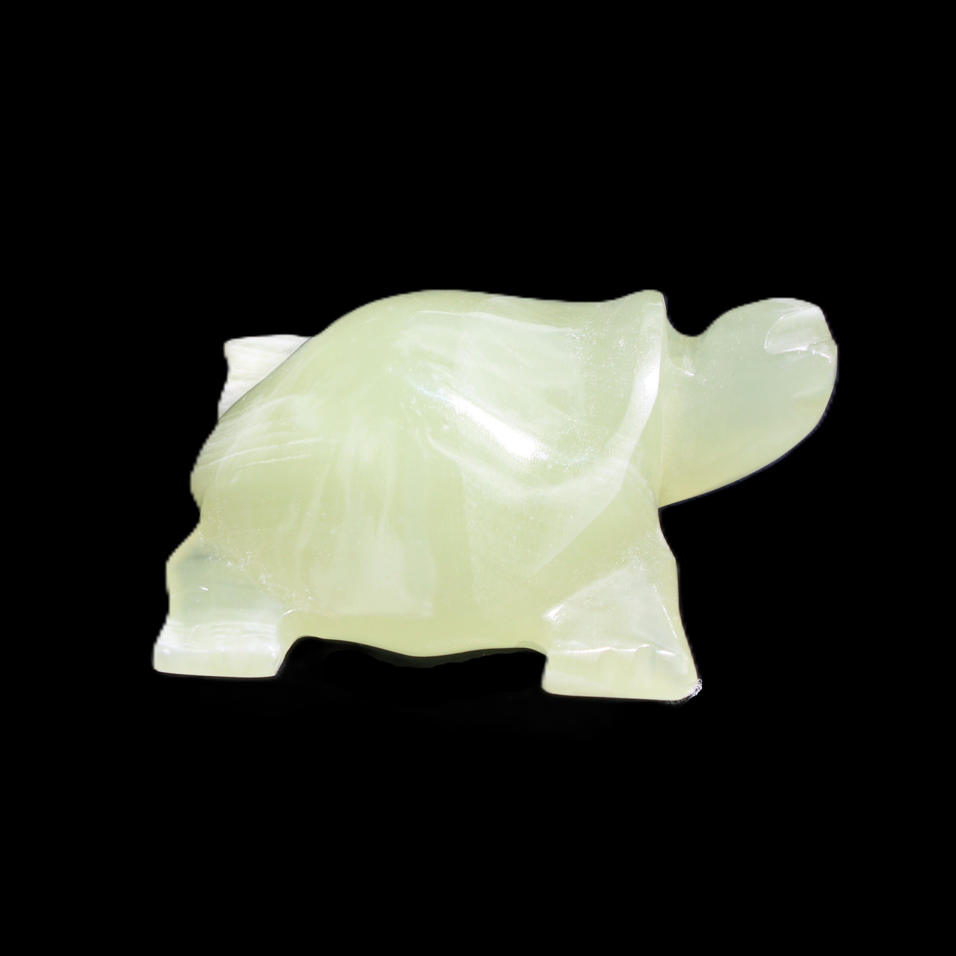 Afghan Jade Turtle hand-carved 78*72*31mm 211g in sunlight - Rocks and Things Store